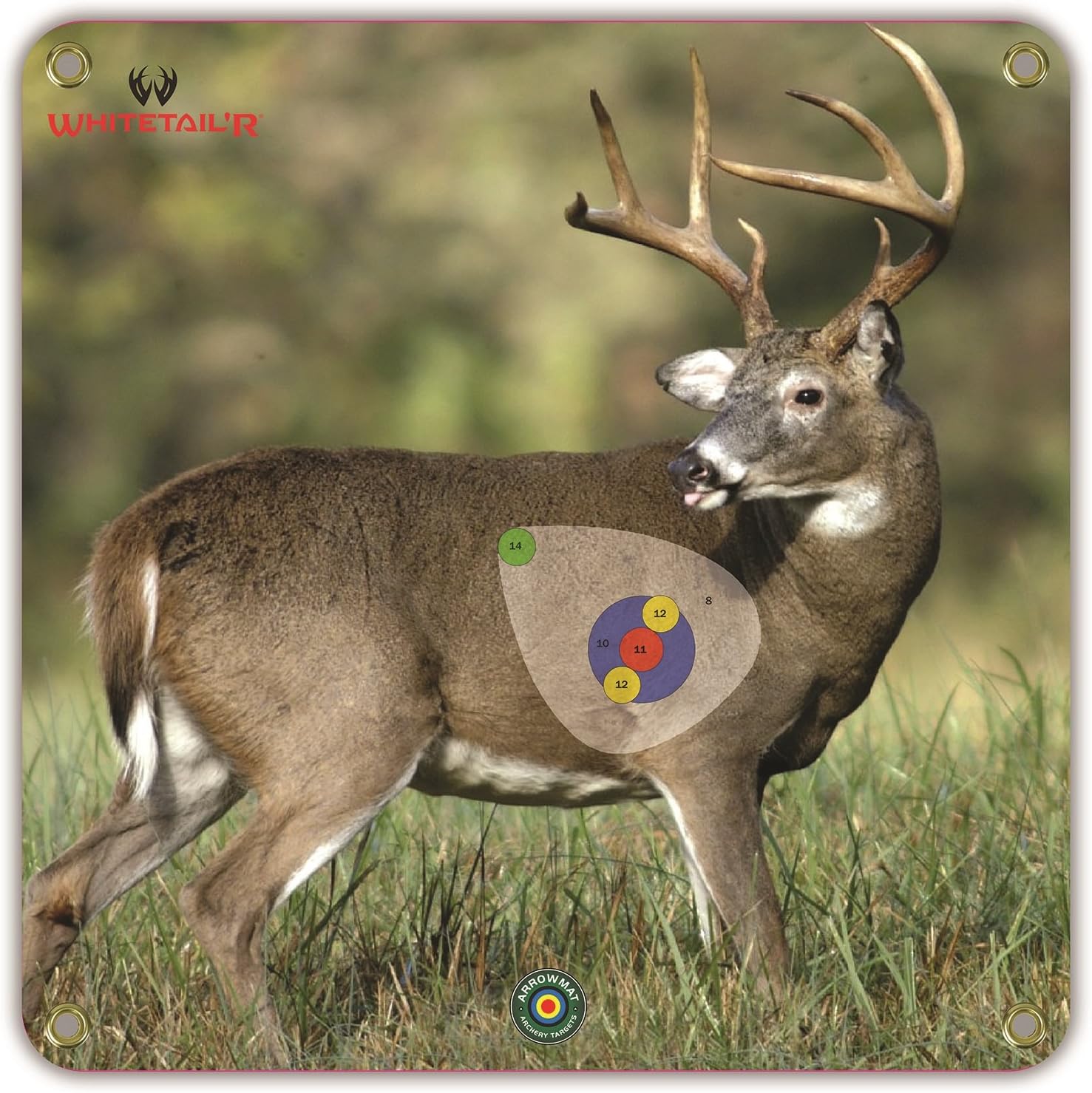 Arrowmat Big Buck Foam Rubber Target Face, 17 x 17-Inch