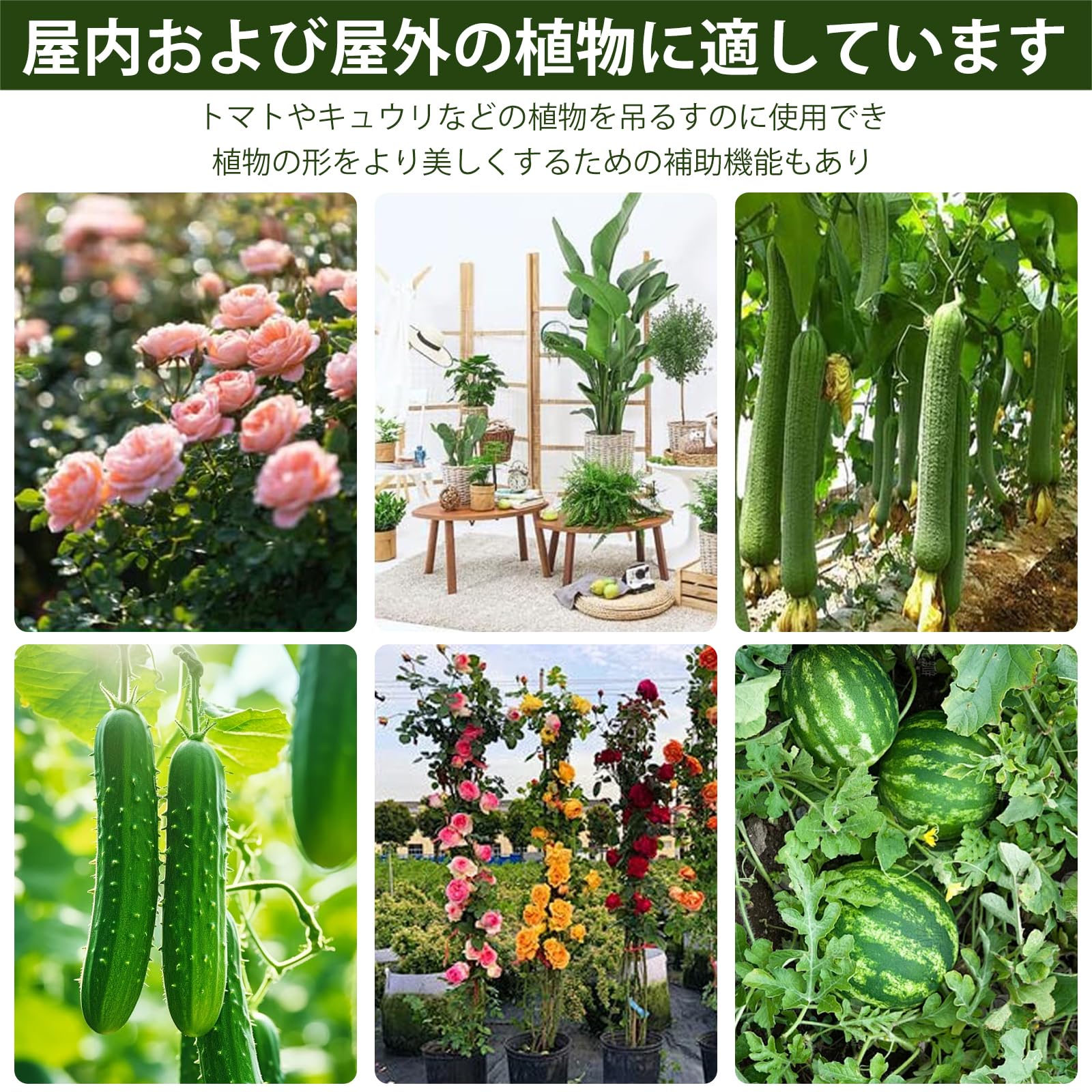 Amazon.co.jp: 40個入 紐誘引クリップ 植物クリップ つる 茎の支柱止め 