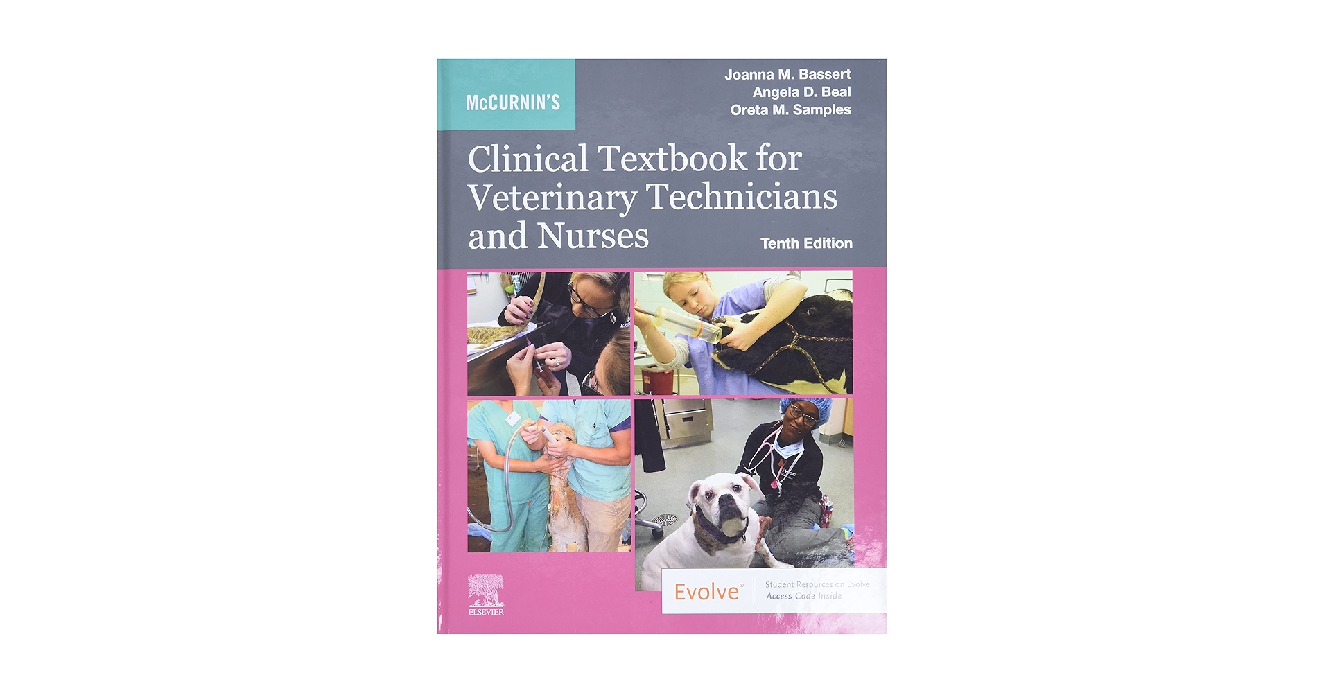 動物看護学 ANIMAL NURSING Large Animal Medicine and Nursing for Veterinary Technicians