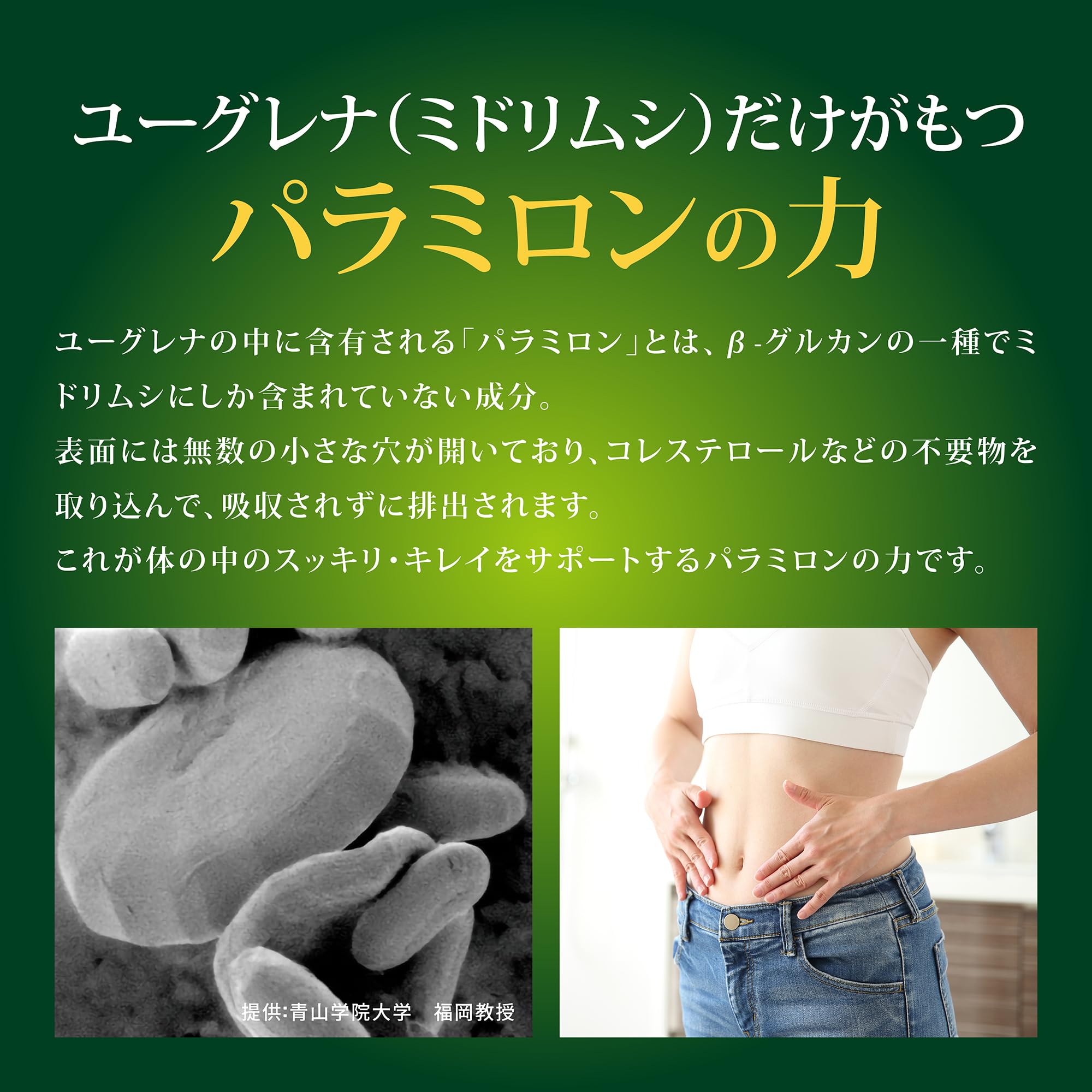 Amazon.co.jp: 正規品 ユーグレナPARAMYLON（パラミロン）100粒 33日分