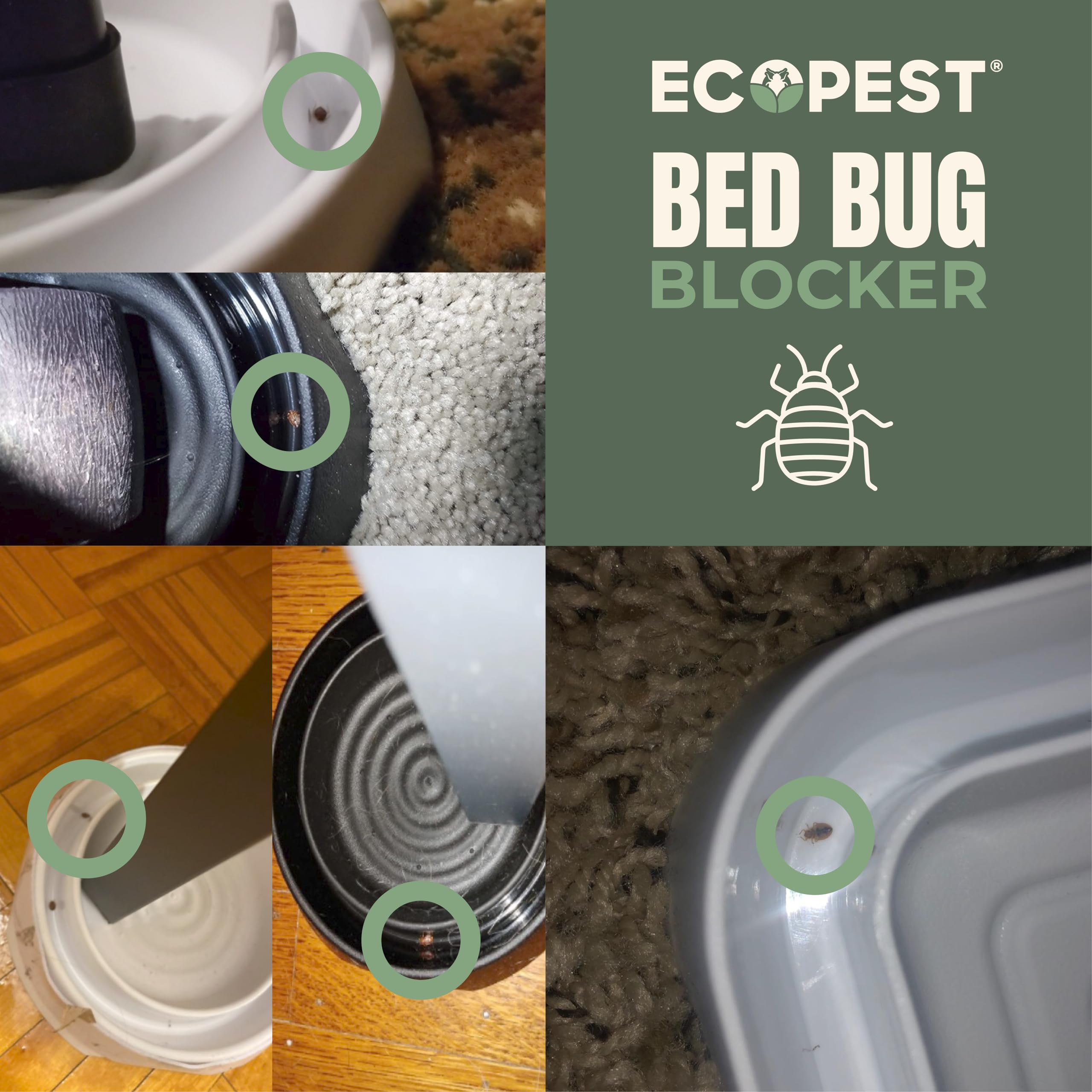ECOPEST Trappole per Cimici dei Letti – Confezione da 8 | Bed Bug Blocker (XL) Trappole Intercettatori (Nera) | Monitor, Rilevatore e Trappola della Gamba del Letto (Extra Grande)