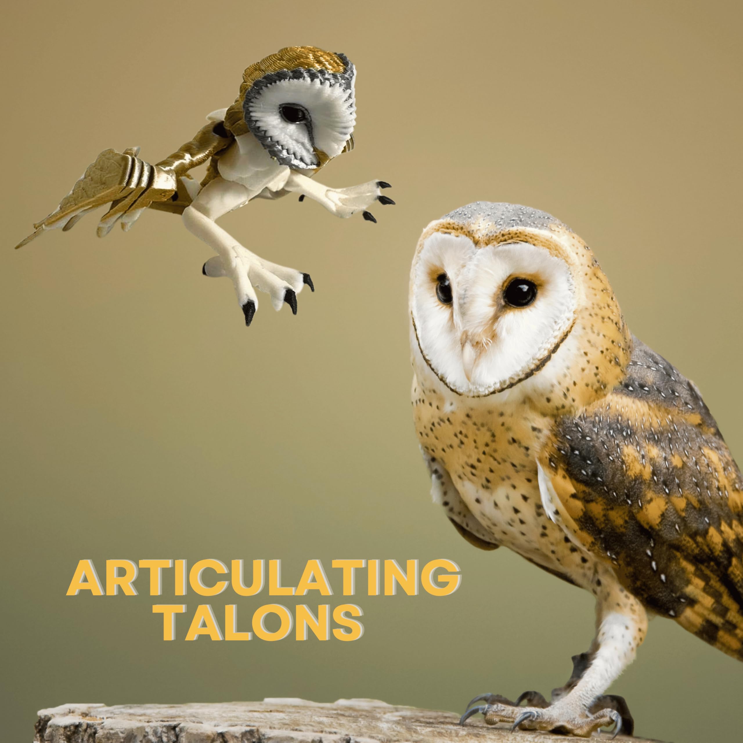 Amazon.com: 3D Printed Barn Owl - Articulating and Poseable - 3D