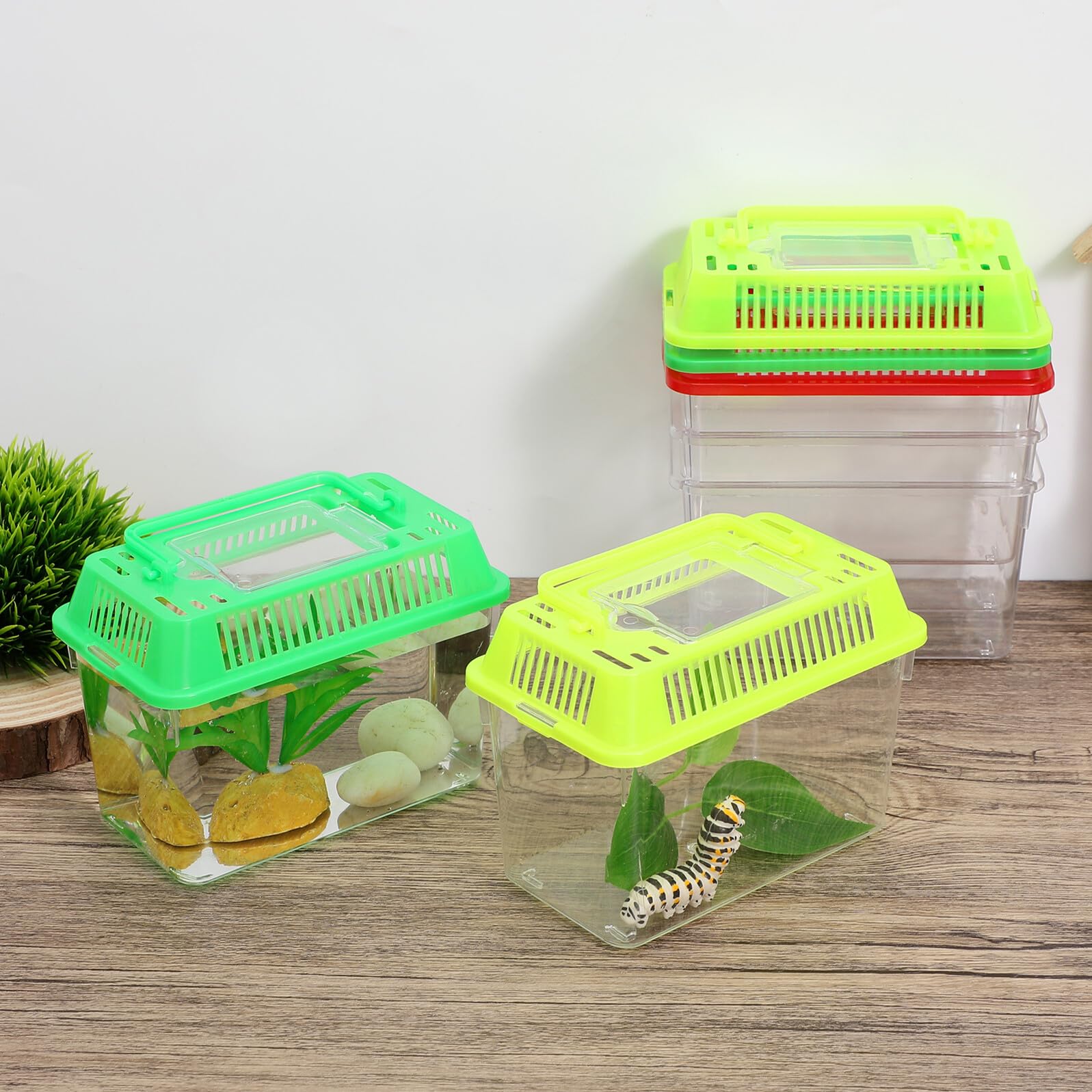 BESTonZON Lot de 5 Mini Aquariums Portables en Plastique Transparent 15x9,5x11 Cm, Boîtes à Vie pour Tortues et Poissons Rouges, Habitat Compact et Léger pour Reptiles, Couleur
