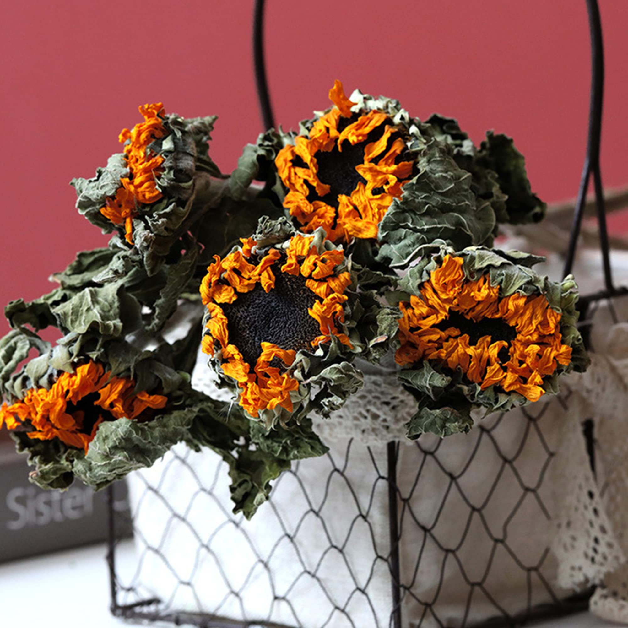 Amazon.co.jp: ヒマワリブーケ 8個 まとめ買い ドライフラワー 本物の