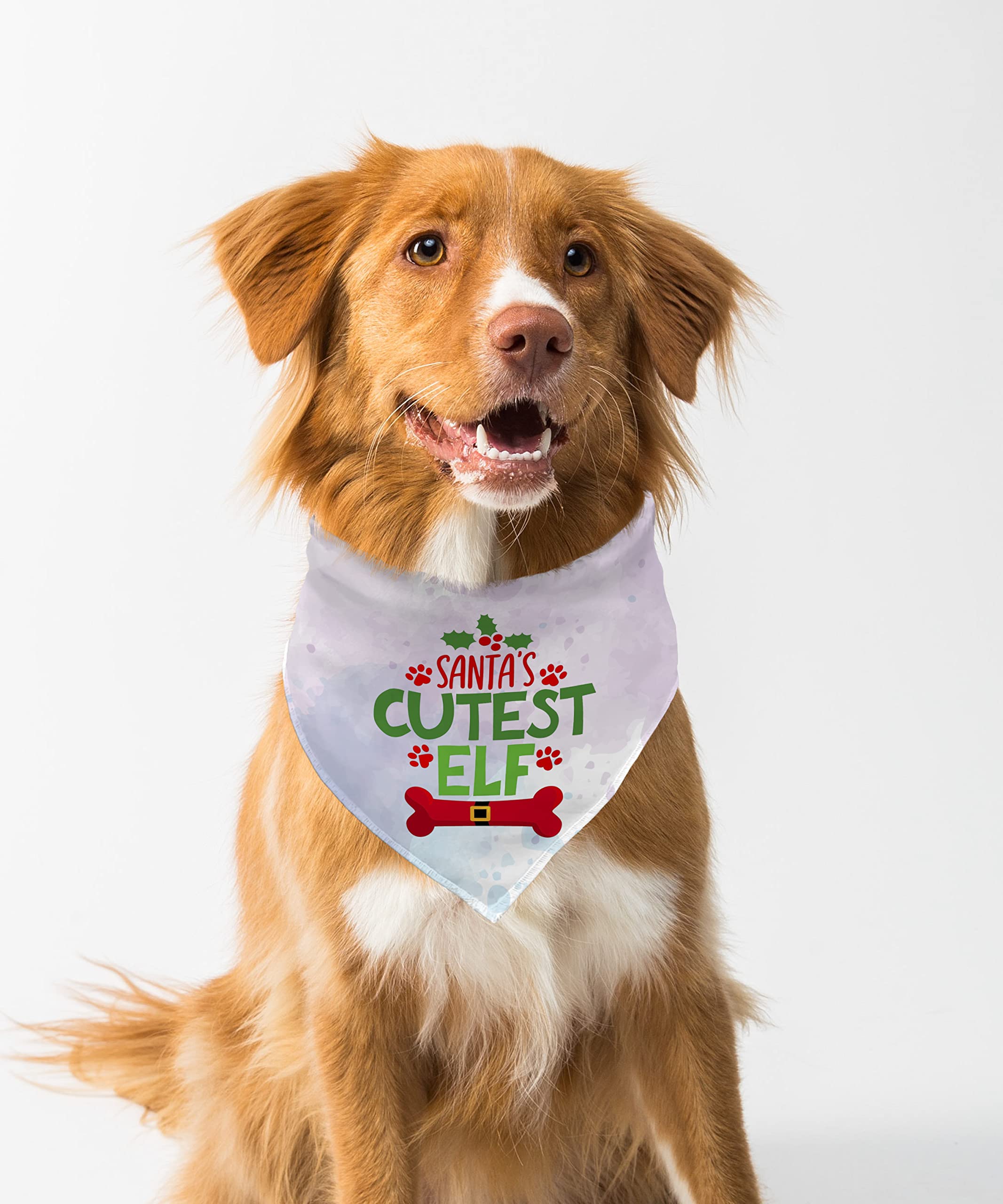Farnup Adjustable & Comfortable Dog Bandana,Santa_s Cutest elf, Graphic Printed Bandana for Dogs | Dog Scarf, Accessory | Gifts for Dogs-M/L (B0BVHFP3MX) Amazon Price History, Amazon Price Tracker