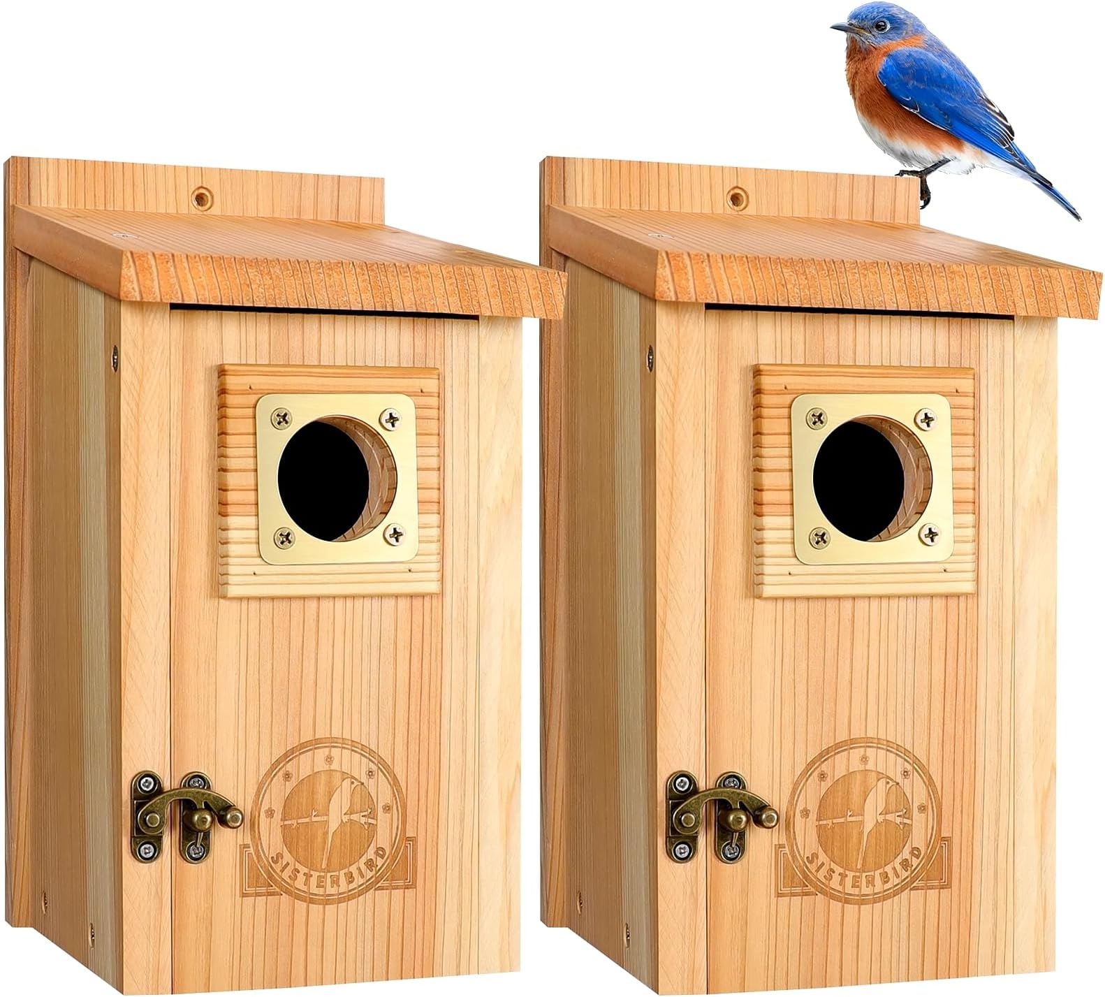 2 Pack Bird Houses for Outside Clearance with Copper Guard, Cedar Bird House Outdoor, Bluebird Finch Swallow Wren Chickadee Assembly Required