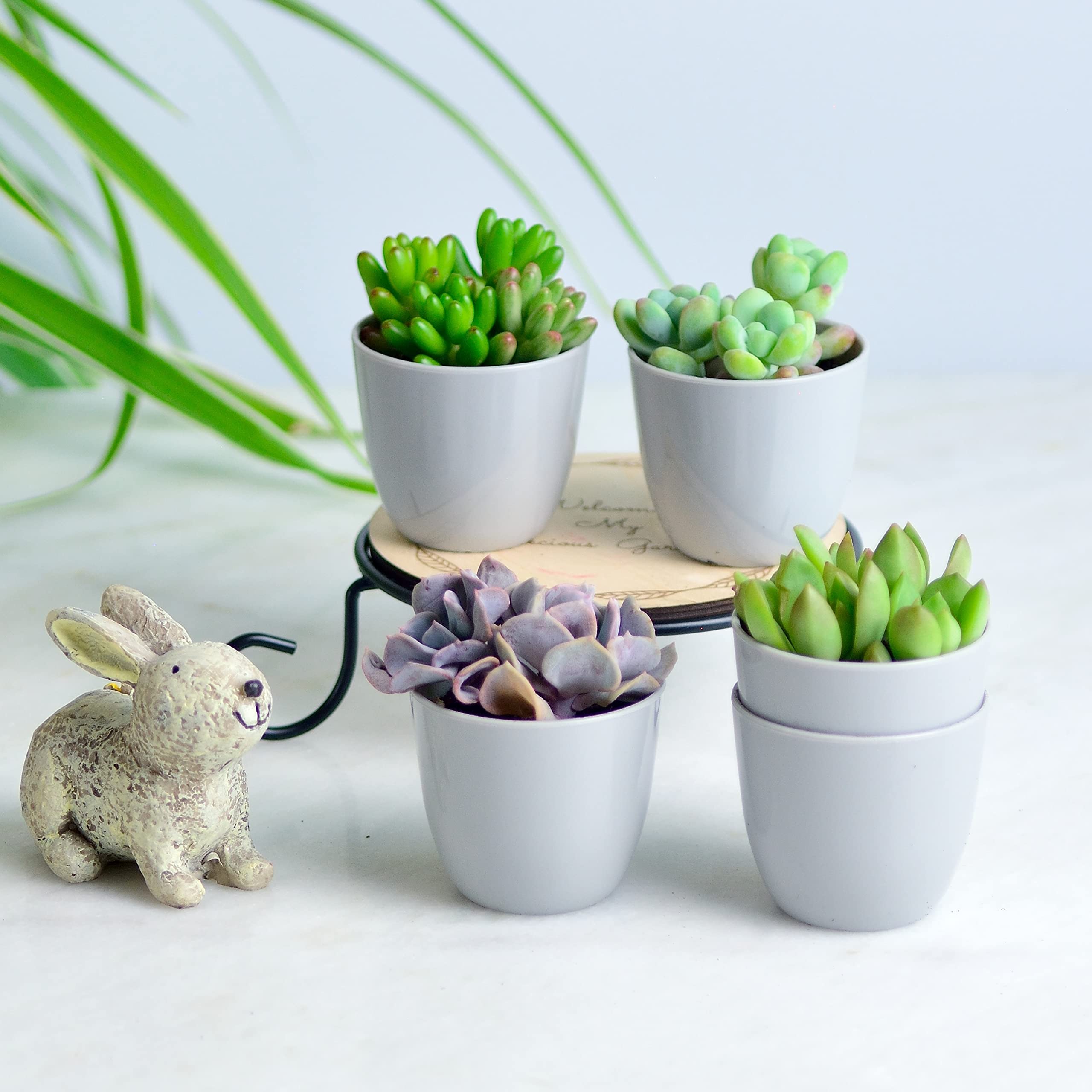 Youngever 24 Pacchi 5CM Fiori di Plastica per Piante, Vasetti per