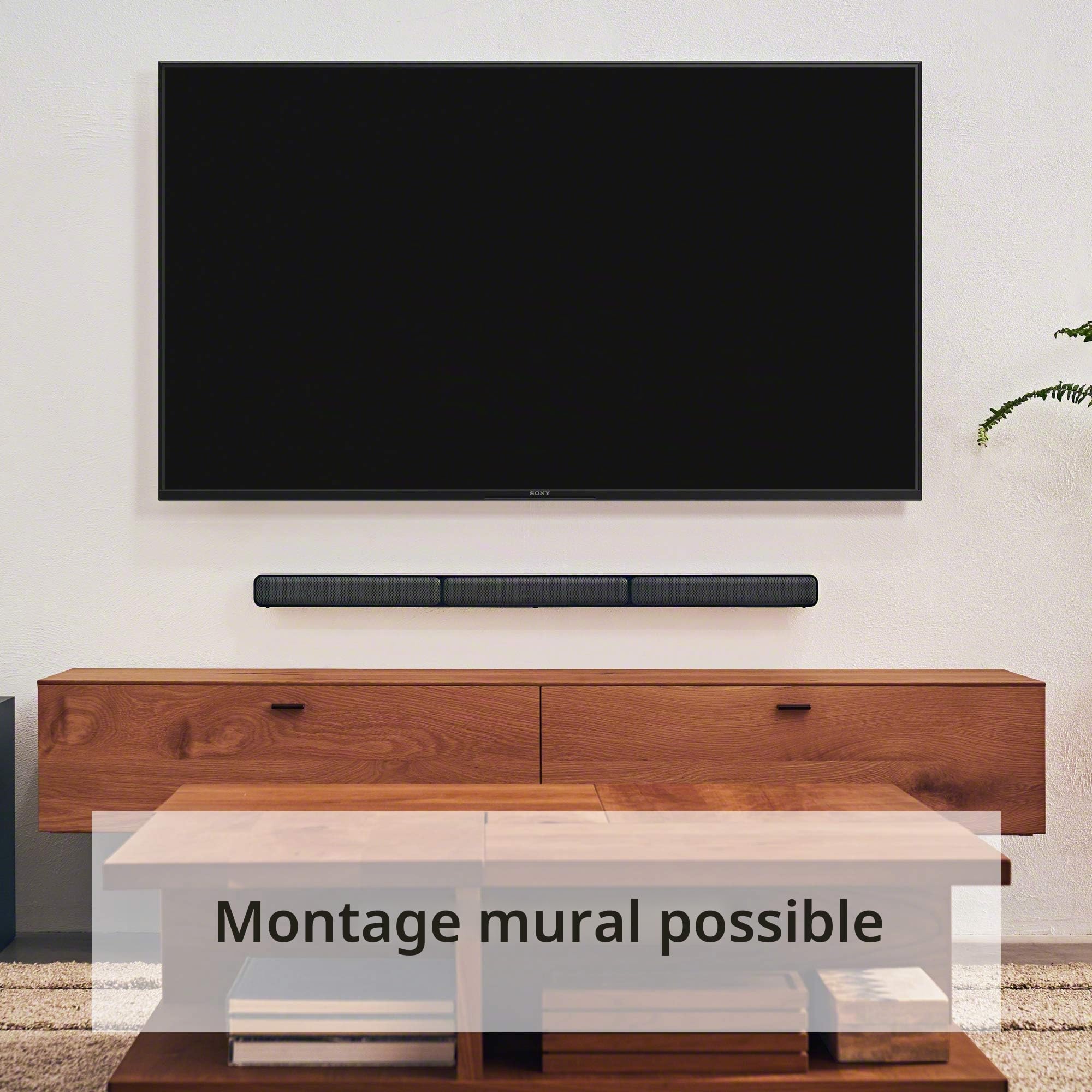 Sony HT-S40R Barre de Son 5.1 canaux 600 W pour TV avec Caisson de Basses et Haut-parleurs arrière sans Fil avec Bluetooth