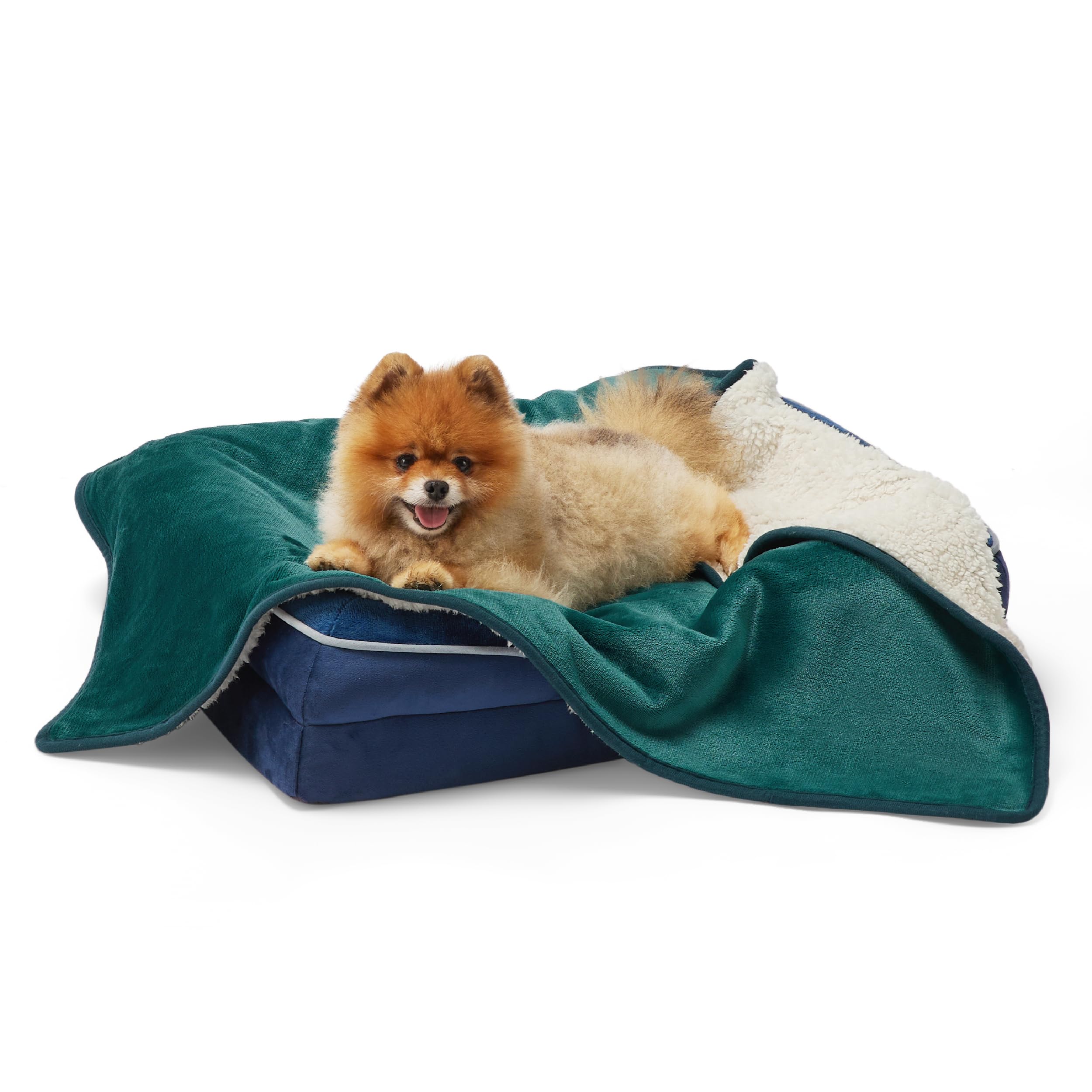 LE SURE wasserdichte Hundedecke kleine Hunde - 80x60cm Outdoor Hundedecke waschbar, Hundedecke Sofaschutz aus Sherpa Fleece, Katzendecke flauschig und weich, Dunkelgrün
