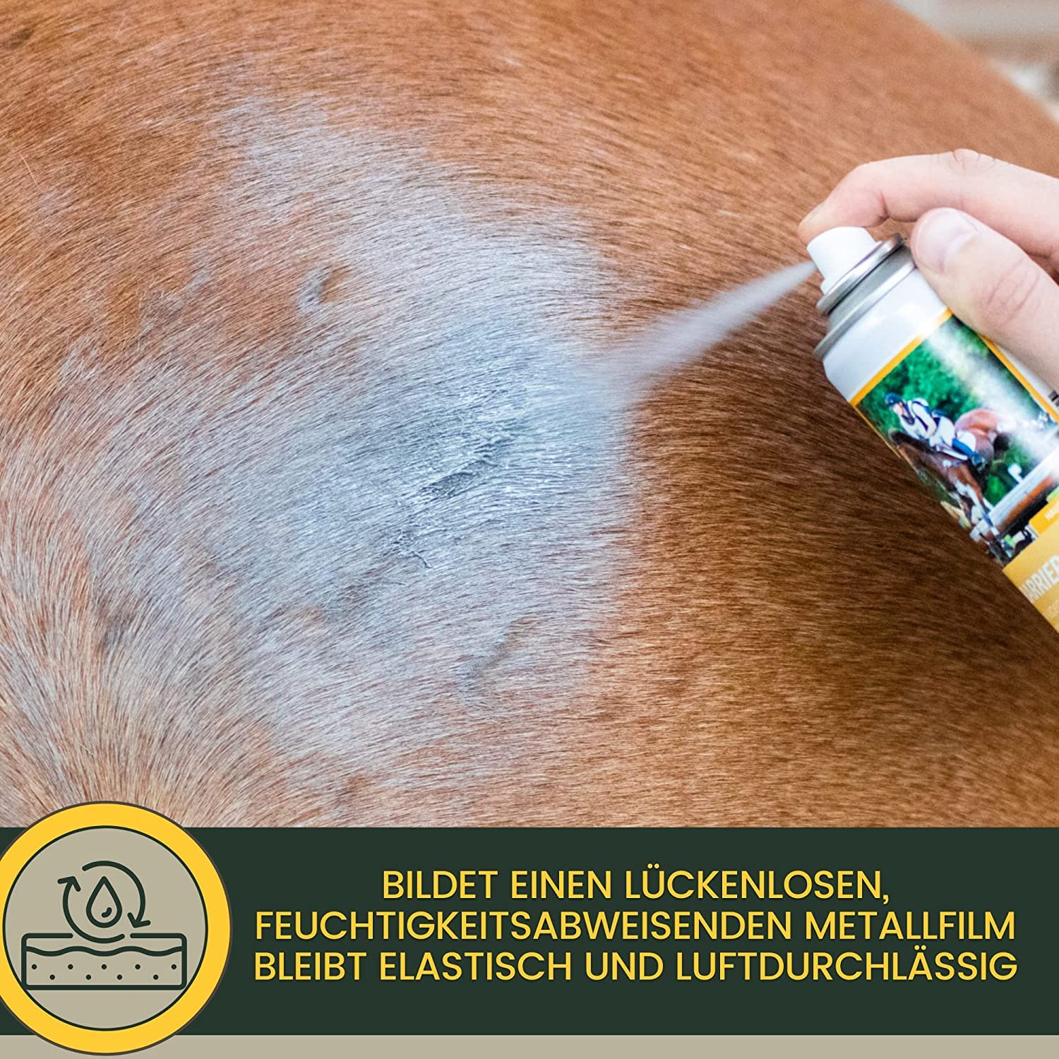 EMMA Silberspray Hund Pferd Katze für Tiere I Aluminium Spray Wundverband - Wundspray Hund - Silberspray Pferd zur Wundversorgung & Wundschutz - gegen Juckreiz Hunde 2x200ml Sprühpflaster wasserfest