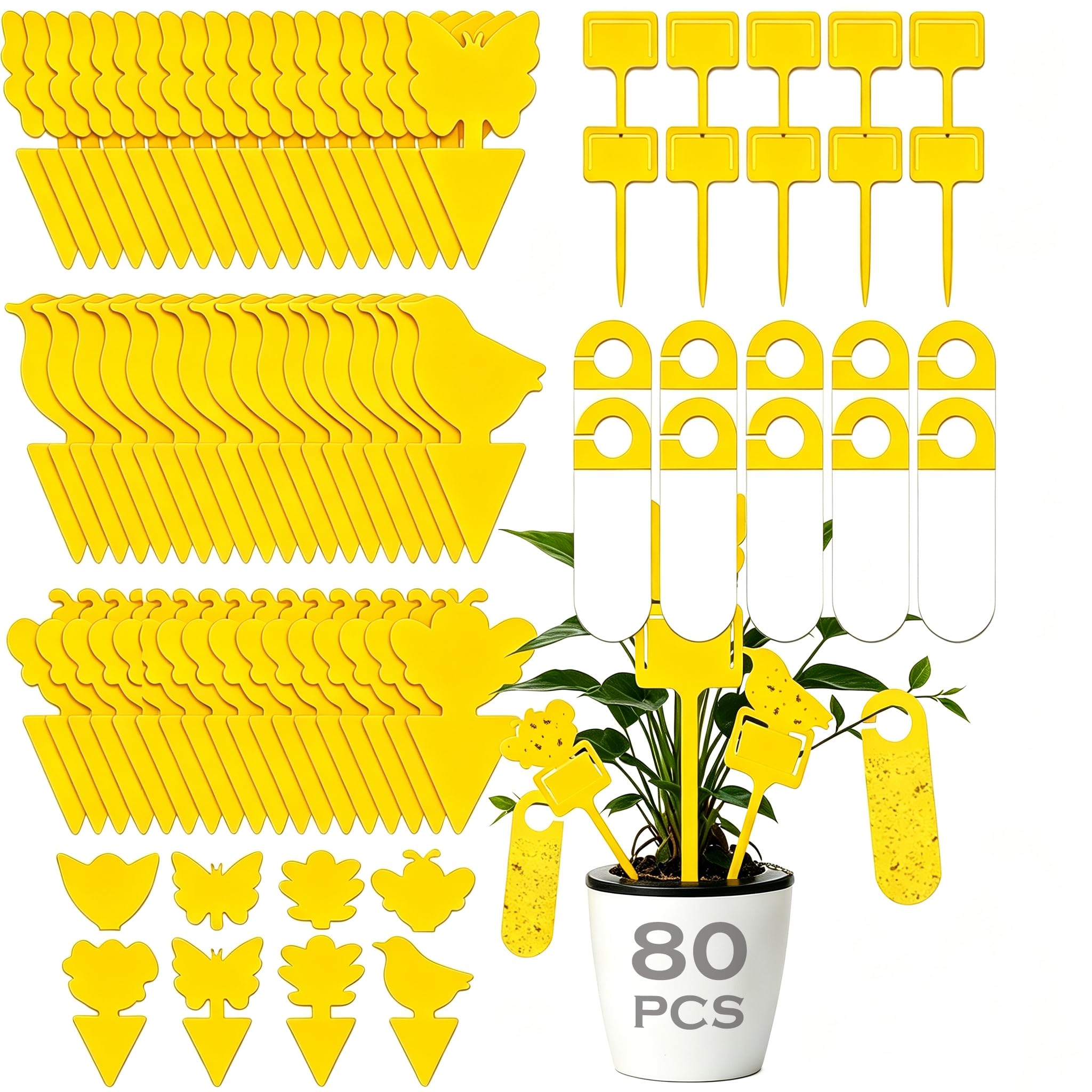 80 Pcs Fruit Fly Traps, Fungus Gnats Sticky Traps for Indoor Plants