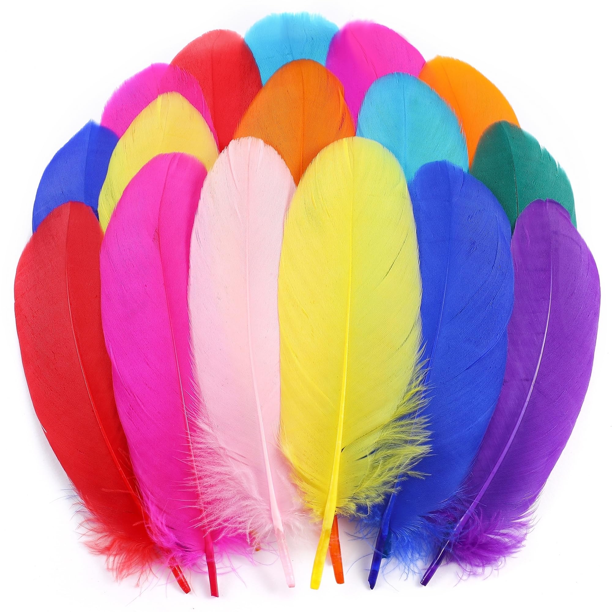 Holmgren Colorful Craft Goose Feathers - 200pcs 5-7inch Colored Feathers for DIY Crafts, Dream Catchers, Cosplay Wings and Home Party Decorations Colorful)