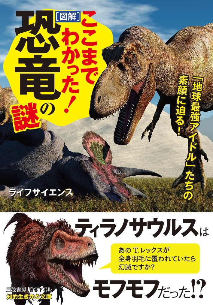 実は 恐竜の生き残り (貴重なアーカイブ) です。。。と か げ 実は 恐竜の生き残り (貴重なアーカイブ) です。。。と か げ