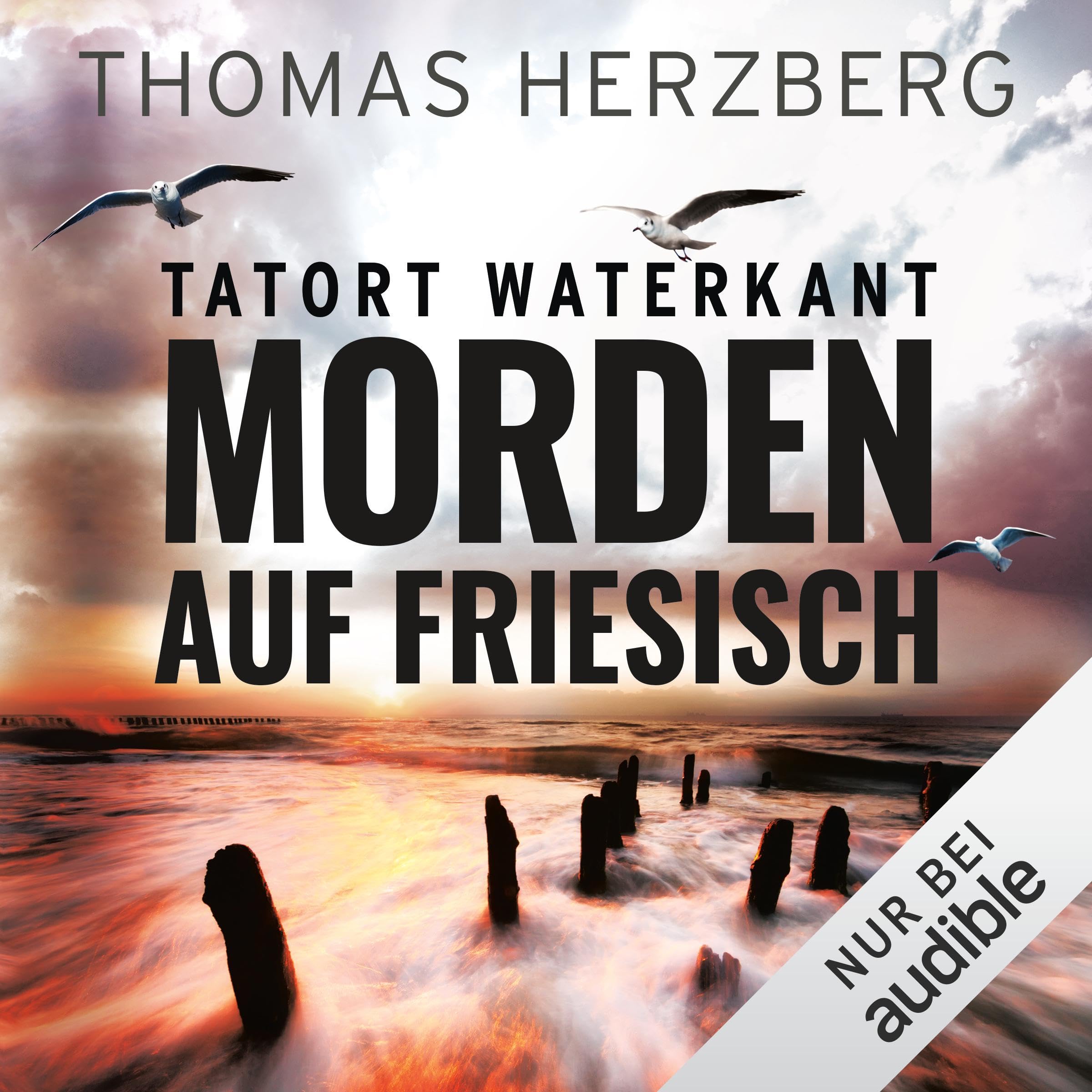 Cover art for Morden auf Friesisch