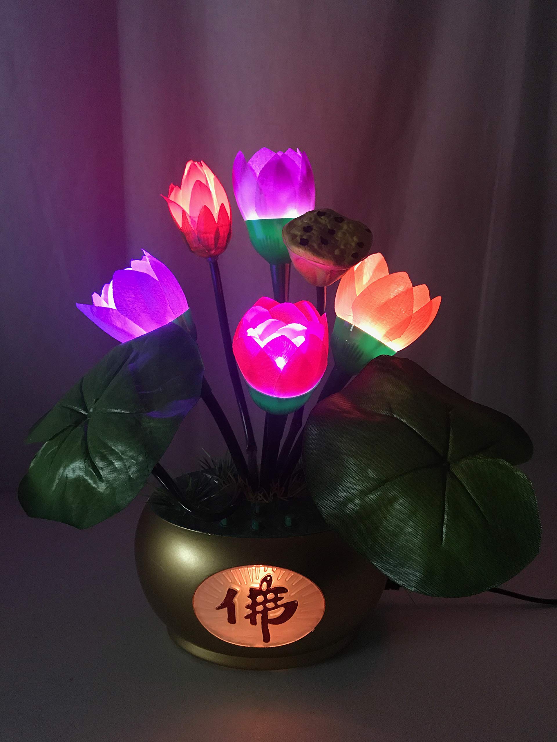 Amazon | ブッダマシーン