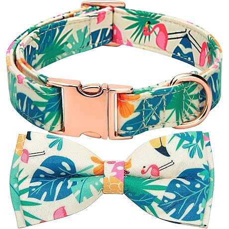 Adjustable Bow Tie Dog Collar For All Seasons