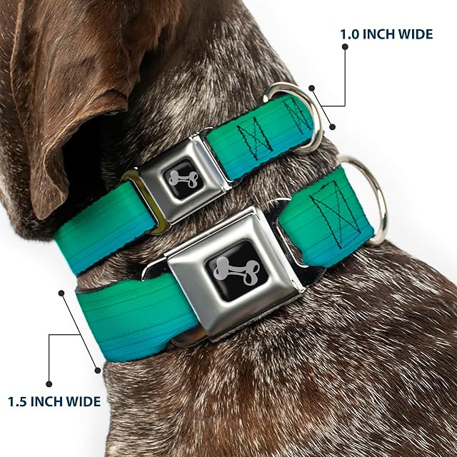 Foto 2 de 8 de Buckle Down 9 - 15 "Azul Ombre Collar de Perro Hueso, pequeño