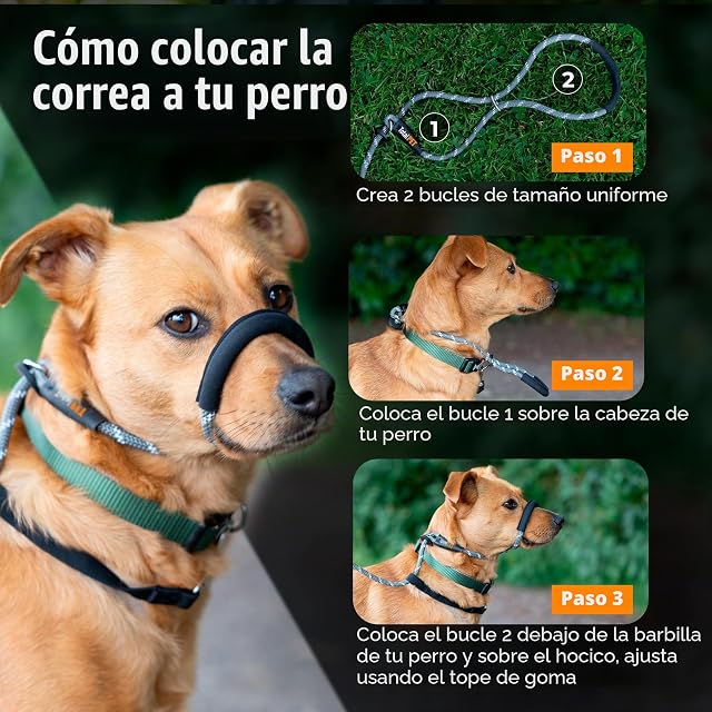 Foto 4 de 8 de Total Pet Figura de 8 correas para perro, antitirones, para perros
