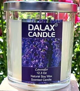 Dalax-Soy Candle Jar Scented Candle, Non-Toxic Soy Wax Candle, Candles in Glass Jars, 12.3 Oz Aromatherapy Candles Stress Relief 60 Plus Hour Burn Time, Made of Soy Wax and Essential Oils (Lavender)