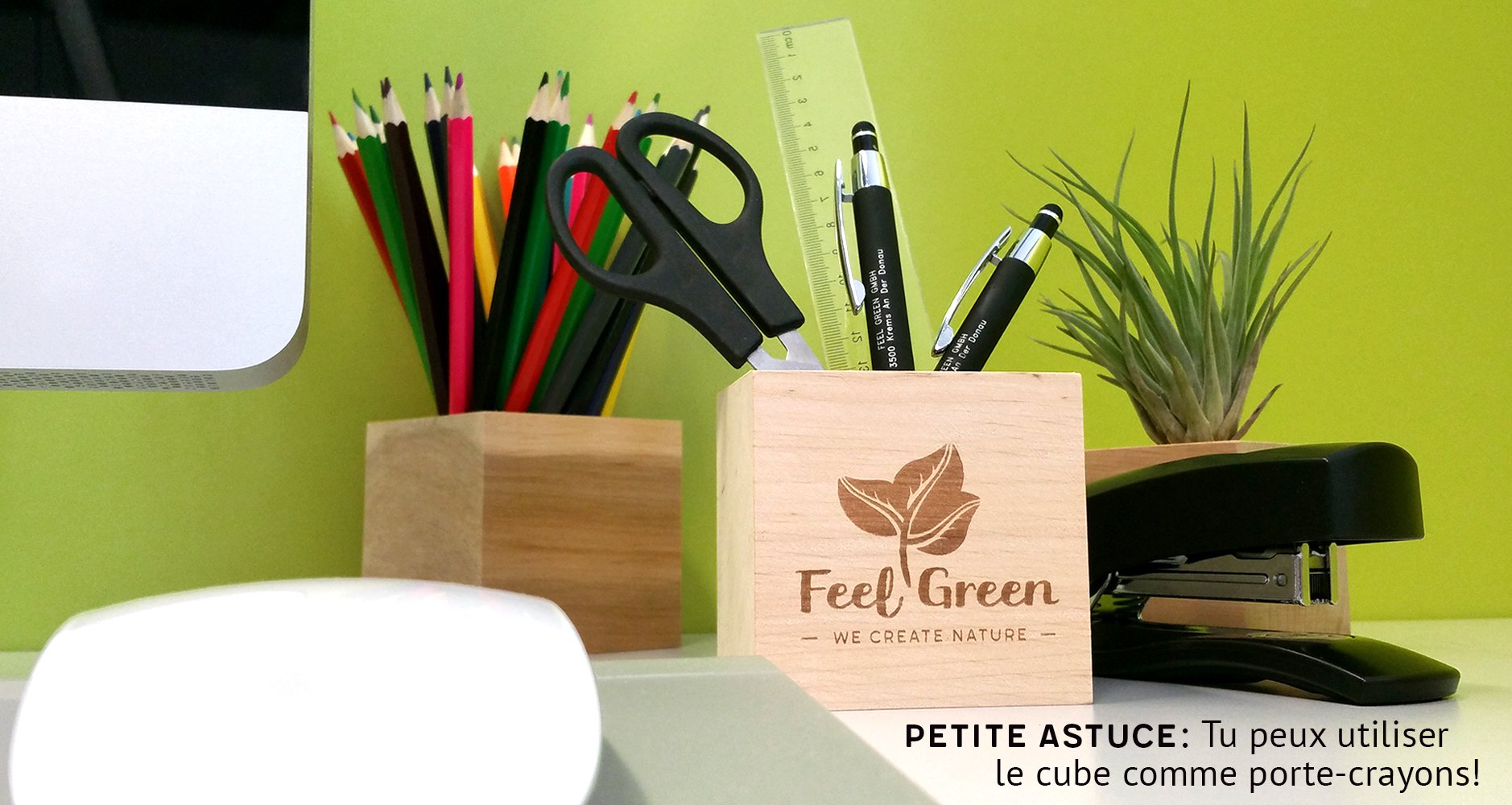 Feel Green Ecocube Trèfle À Quatre Feuilles Kit Prêt-à-Pousser 7.5cm