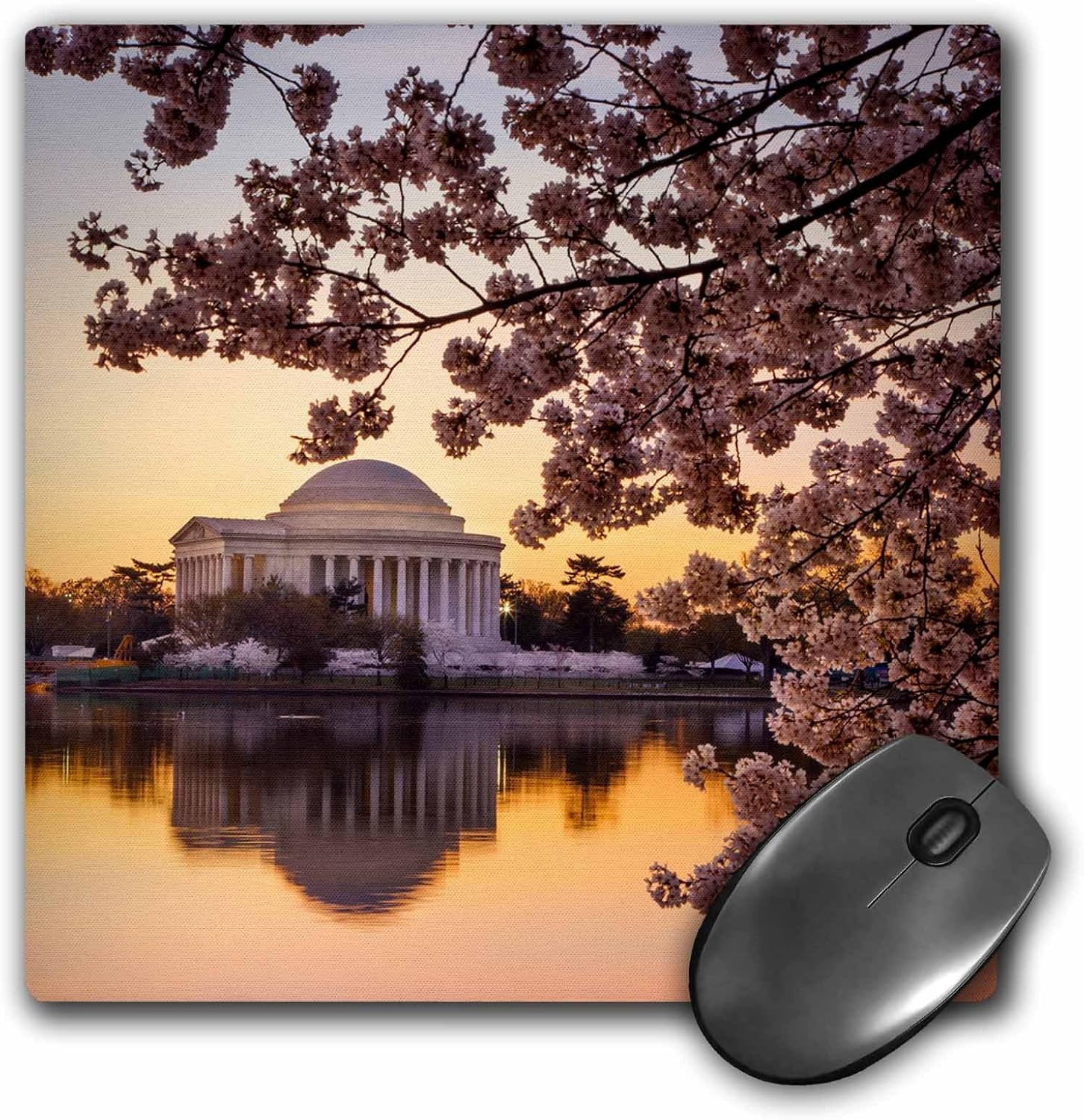 3D Rose "Cherry Blossoms and The Jefferson Memorial Washington Dc USA." Matte Finish Mouse Pad - 8 x 8" - mp_207301_1