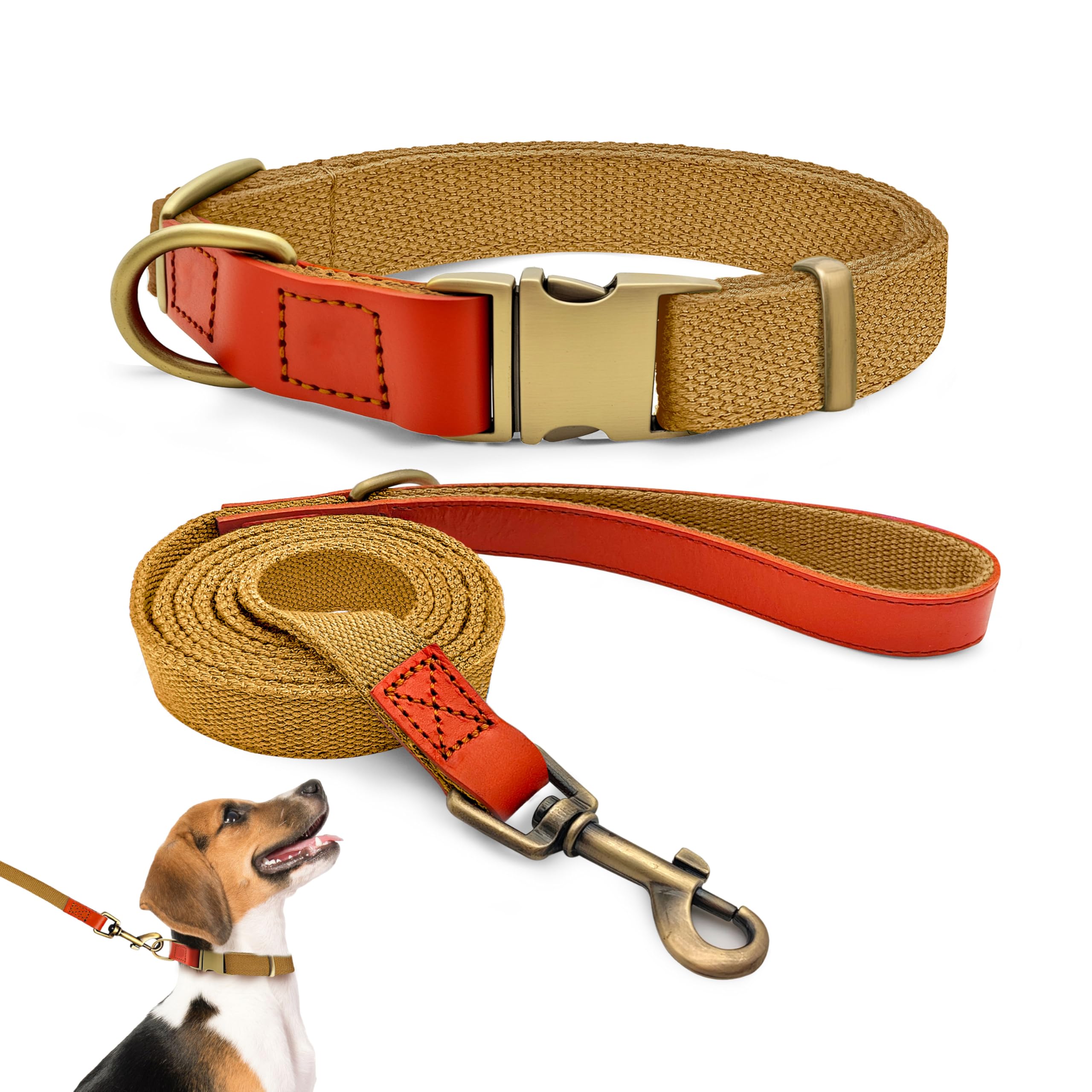 Collier pour chien tactique QRDA avec laisse pour balades en forêt et éducation kaki