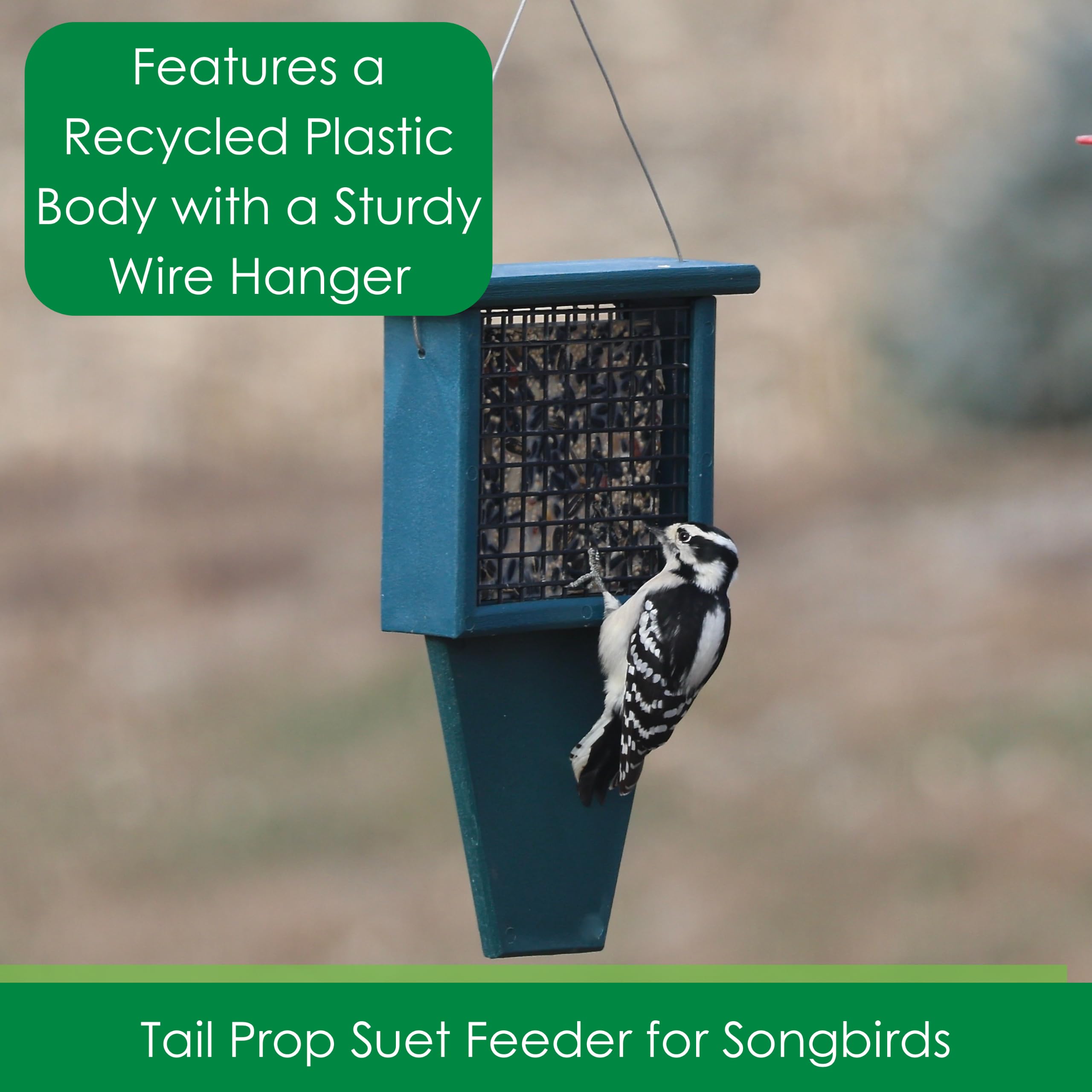 Songbird Essentials SERUBSF100H - Mangiatoia per suet con coda, 29 x 6,3 x 19 cm