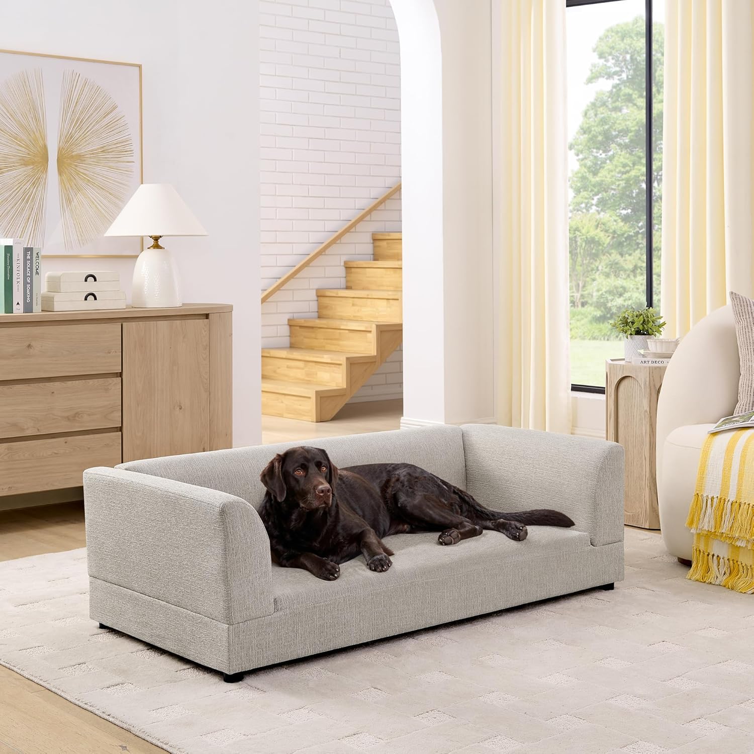 Oversized Dog Sofa for Medium Large Dogs, 56.5 Inch Pet Couch with Backrest & Armrests, Modern Furniture Design with Soft Cushion and Sturdy Short Legs (Beige)