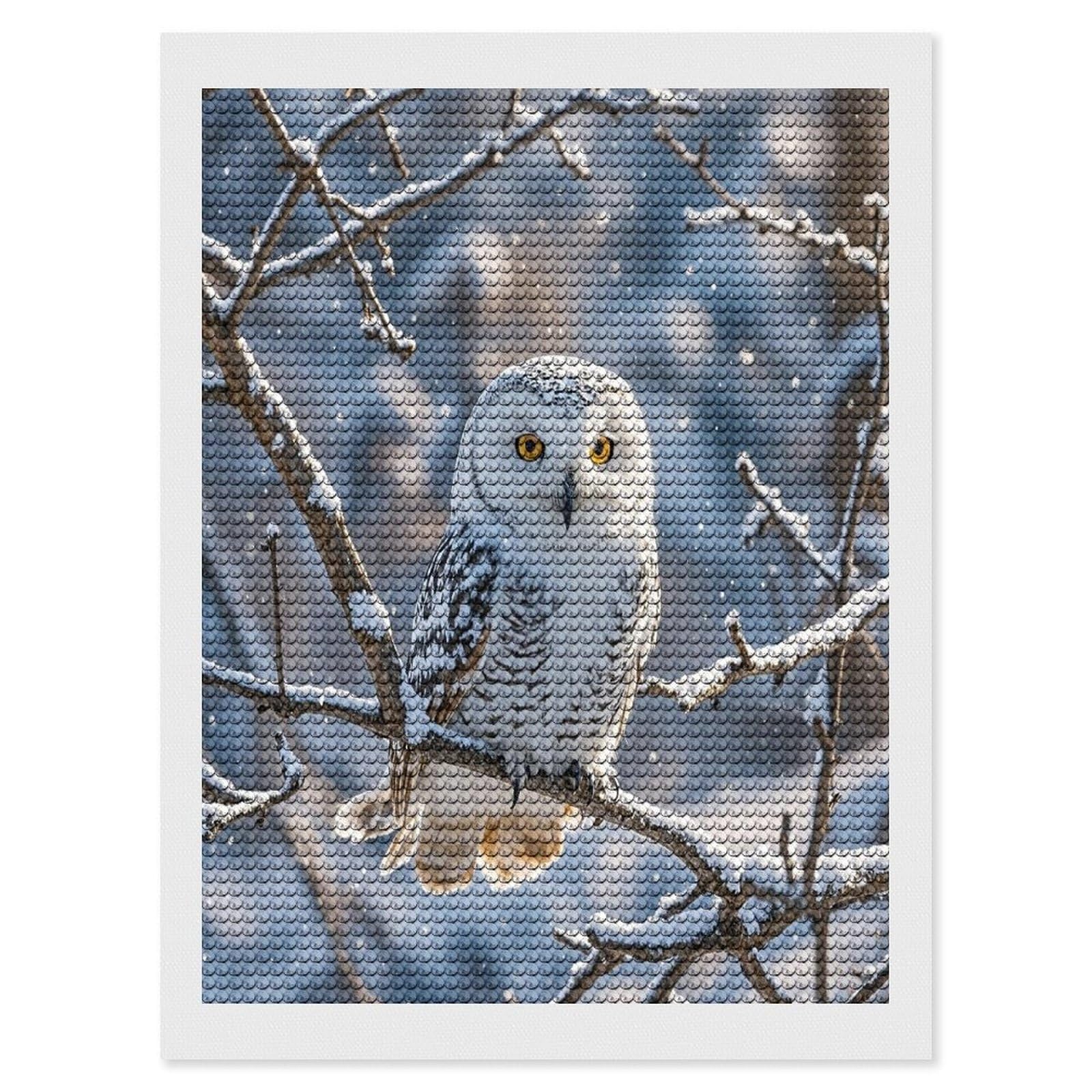 FekiLoot Winter White Owl Diamond Painting Kits for Adults Round Paint with Diamonds Pictures Gem Art Painting Kits Personalized Diamond Art Full Drill for Beginners Home Wall Decor