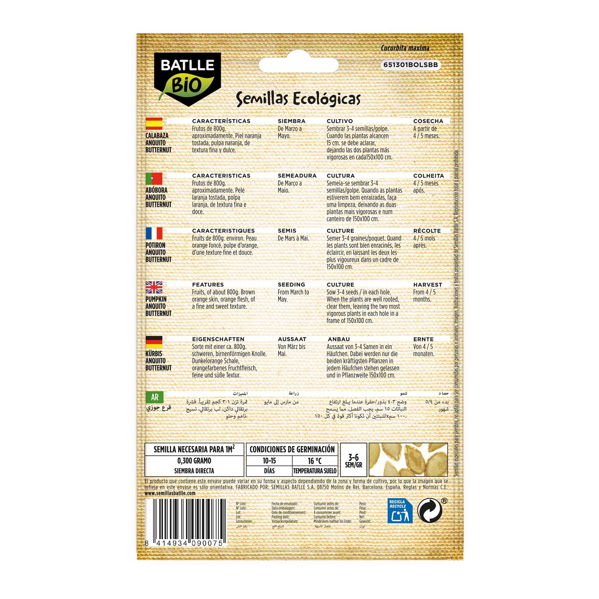 Semillas Batlle Calabaza Butternut - ECO