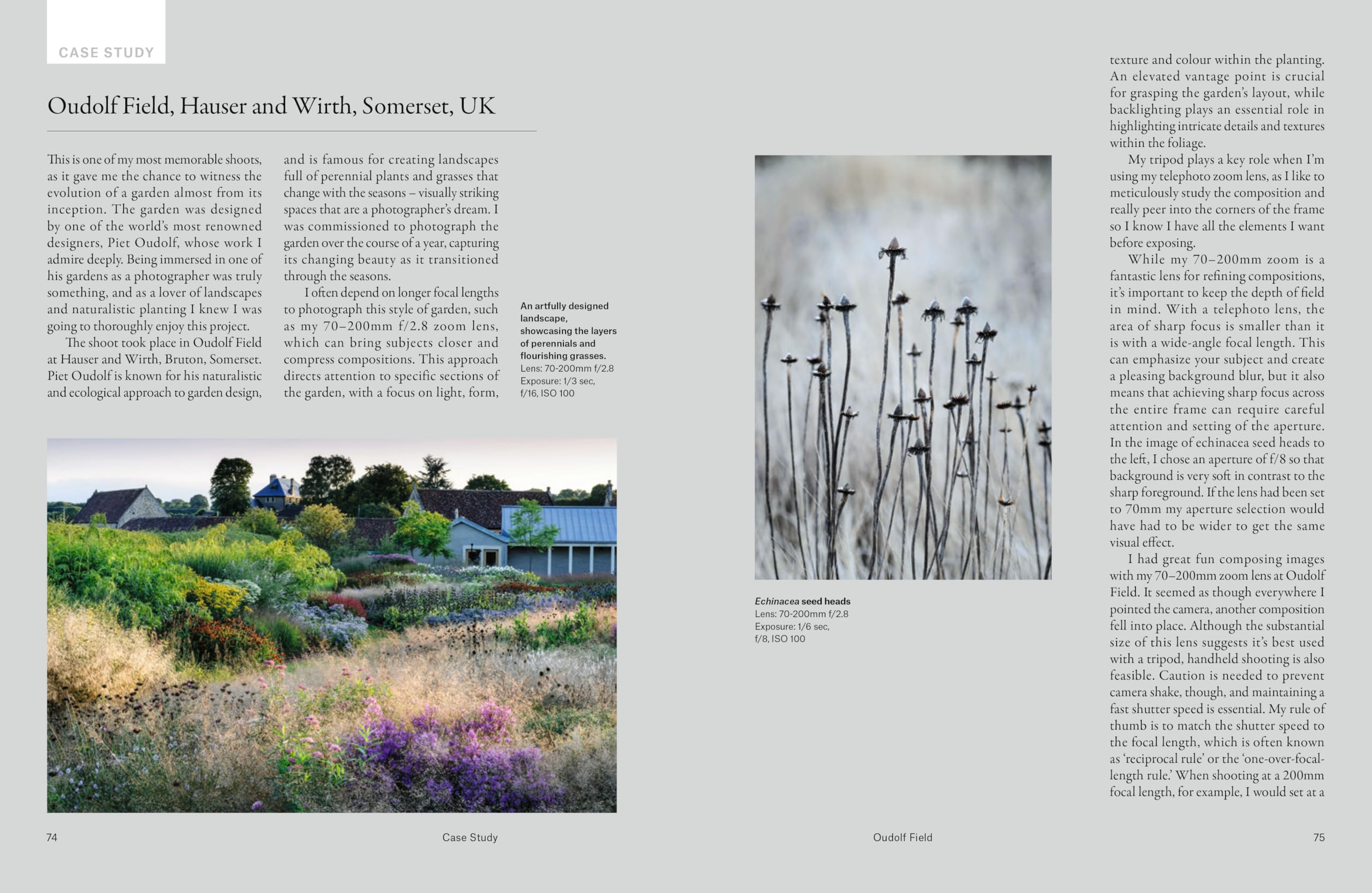 How to Photograph Gardens: Beautiful images made simple
