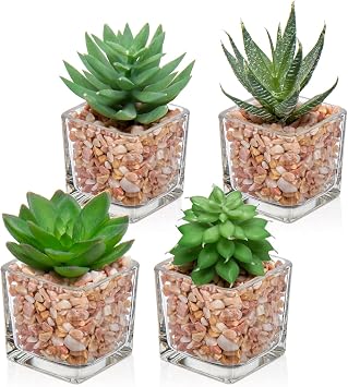 Briful Mini Fake Plants 4 Packs Succuletns Artificial Potted Plants in Cube Glass Vase Faux Succulents for Bathroom Living Room Kitchen Shelf Table Decor