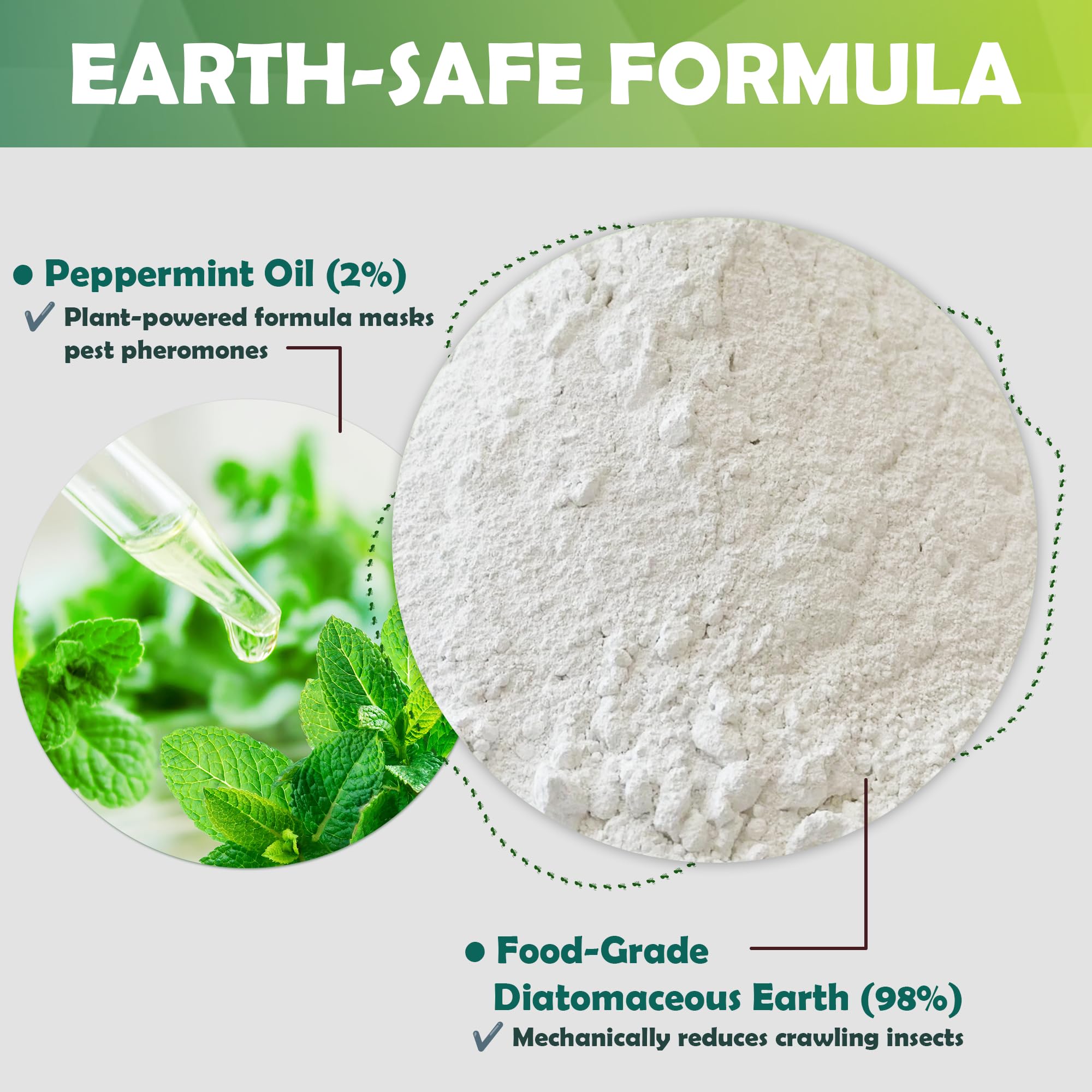 Diatomaceous Earth Pest Control - Natural & Safe -2