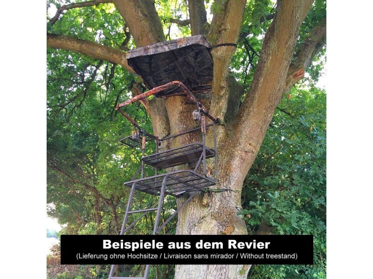 SUTTER Praktisches universelles Hochsitzdach/Einfach am Baum befestigen/Für Hochsitze, Ansitze, Baumleitern und mehr