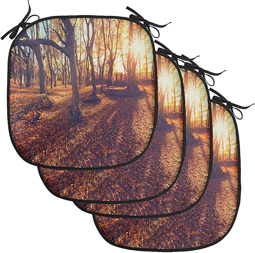 Lunarable Juego de 4 cojines para silla de bosque, puesta de sol en el bosque, hojas caĂdas, árboles viejos, paisajes relajantes, almohadillas de Lunarable Juego de 4 cojines para silla de bosque, puesta de sol en el bosque, hojas caĂdas, árboles viejos, paisajes relajantes, almohadillas de
