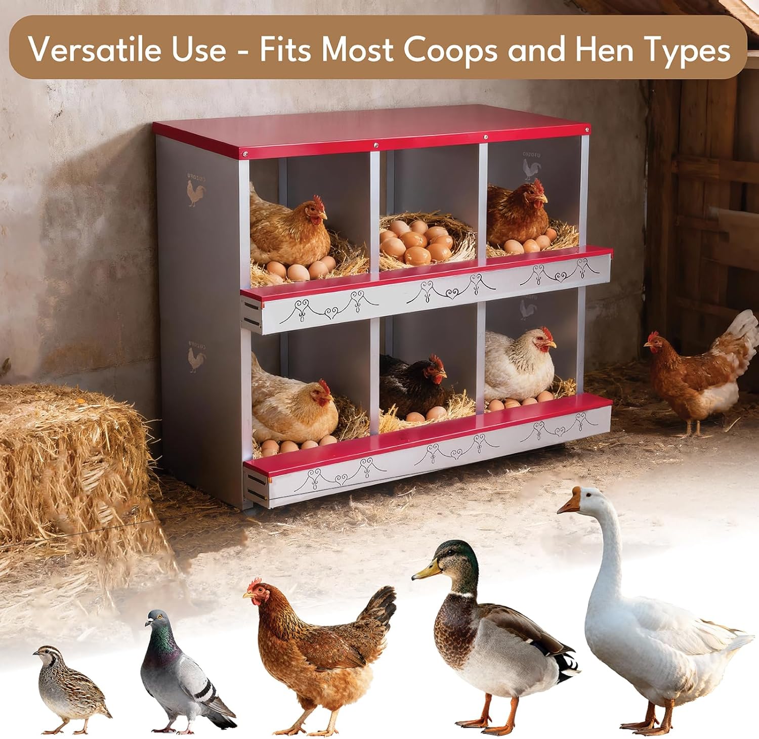 4 Hole Chicken Nesting Box for Laying Hens - Automatic Rollout Egg Collection, Heavy Duty Metal Nesting Boxes with Swing Perch for Chicken Coops, Secure & Easy Clean Poultry Nest Box