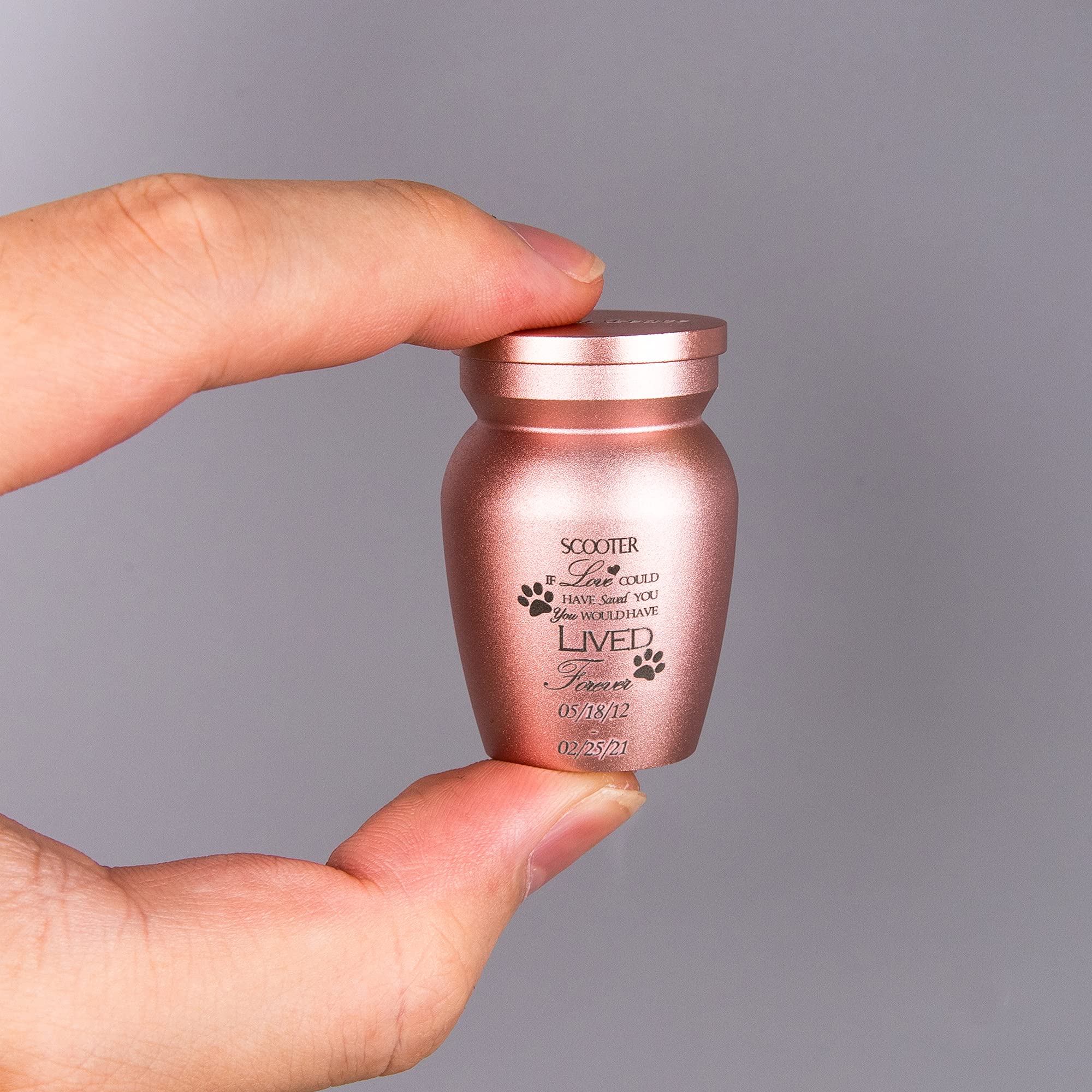 Fanery Sue Personalized Small Urns for Human Ashes,Mini Urns for Ashes Small Urn for Ashes Keepsake,Customized Quote (Rose Gold Paw PrintXS)