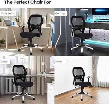 SAVYA HOME Apollo Medium Back Ergonomic Office Chair with 2D