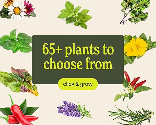 Miniatura 15 de Click & Grow Smart Garden 3 - Kit de jardinería para interiores (incluye cápsulas de albahaca)