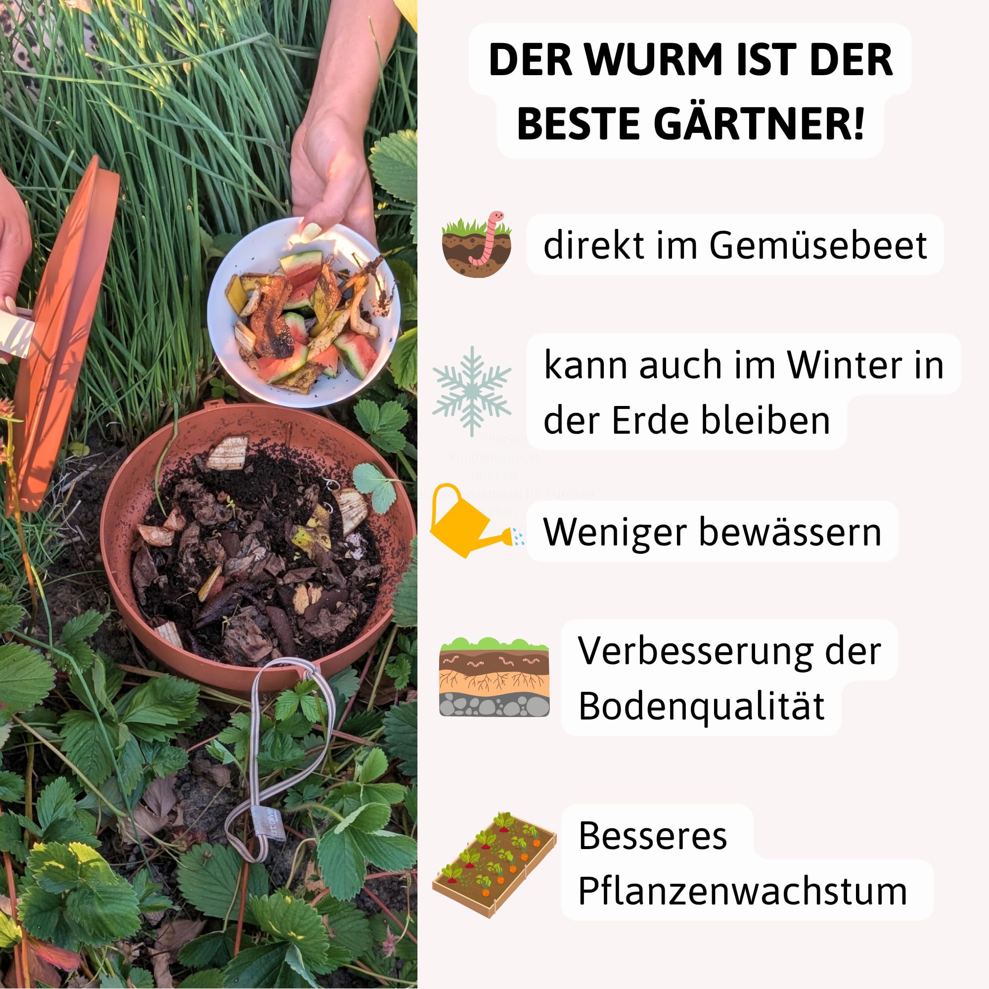 Beetkomposter Wurmvase XL - Wurm Komposter Garten zum Eingraben inkl. Wurmkiste Anleitung