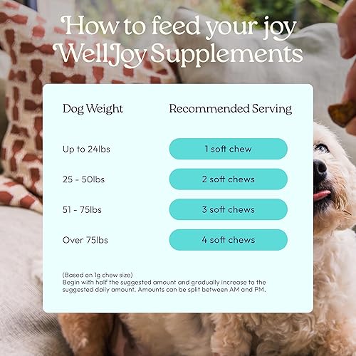 Miniatura 7 de WellJoy Suplemento para perros Joint+ GutBoost  Suplemento de salud para perros  Apoya articulaciones flexibles saludables  Formulación GutBoost de