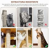 Ver la foto 6