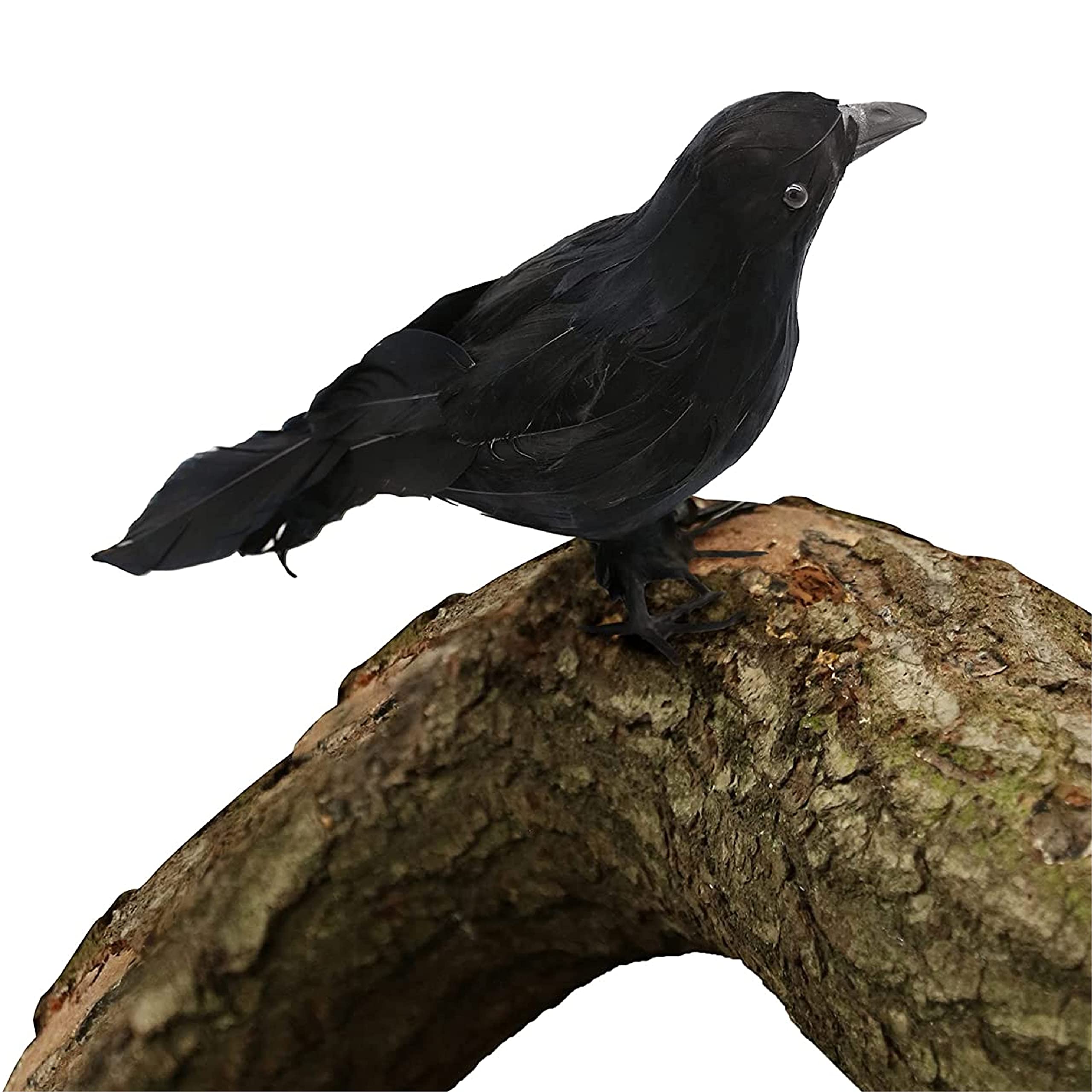 I LOVE FANCY DRESS Black Crow Halloween Decoration Prop 18cm x 20cm Realistic Raven Ornament – Spooky Gothic Bird Decoration for Haunted House Displays & Parties
