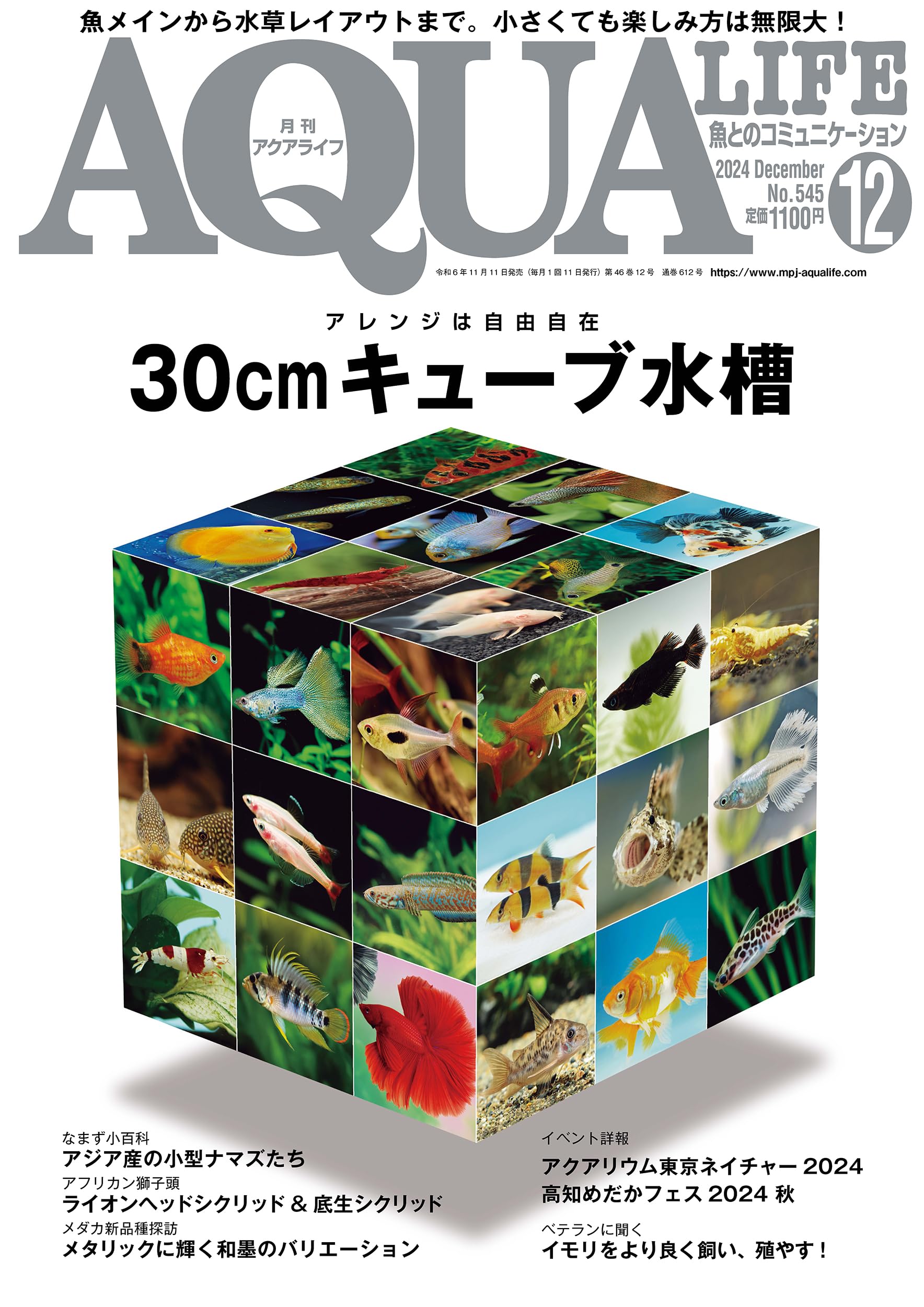 月刊アクアライフ 2024年 12 月号 30cmキューブ水槽 [雑誌] | アクア 