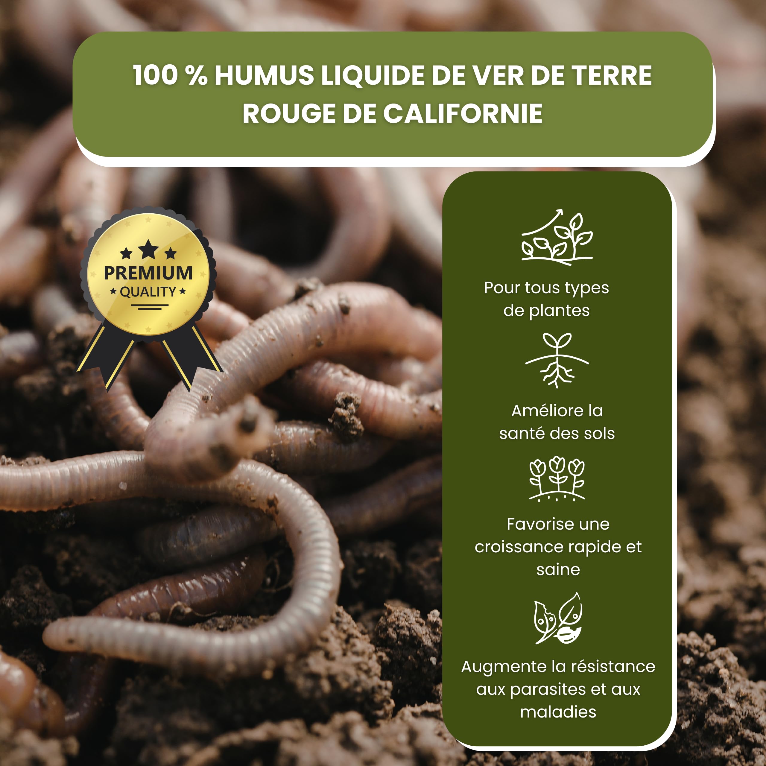 Humus de Lombric Liquide 5 L – Terreau liquide & Substrat Organique – Réparation Naturelle du Sol – Améliore la Qualité – Haute teneur en Microbes et Acides Humides – Cosses plus Productives