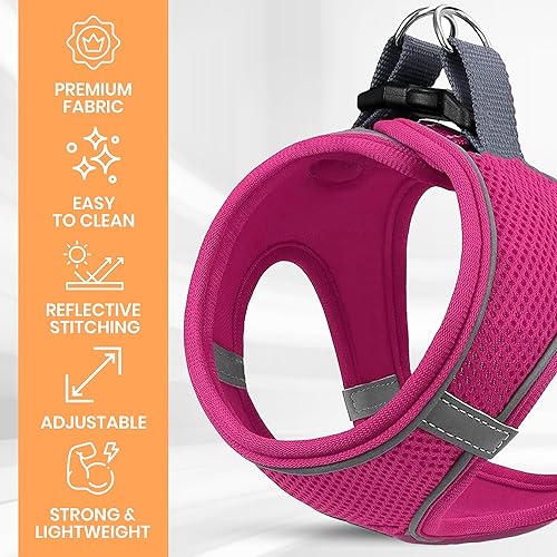 Miniatura 38 de MITA Juego de arnés y correa para perro, arnés para cachorro, arnés para gato, cómodo arnés para perros grandes y pequeños, transpirable y de malla