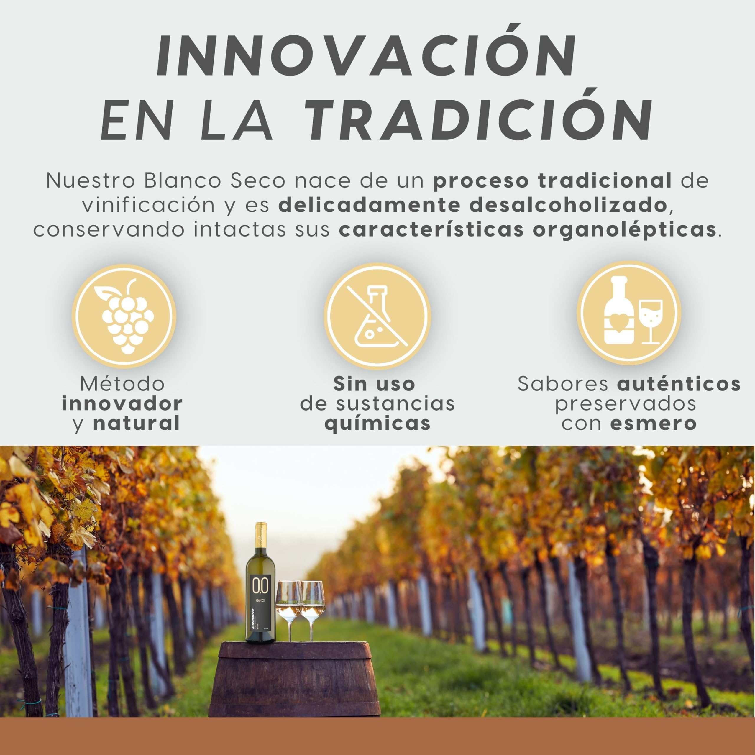 ALTERNATIVA Blanco Seco Sin Alcohol 0.0% - Pack de 6 Botellas de 750ml