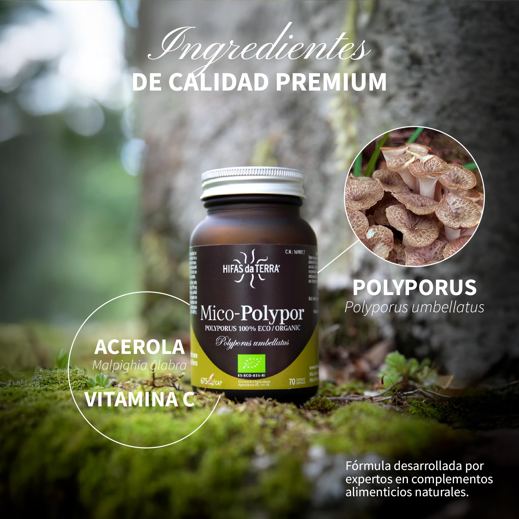 HIFASDATERRA MICO POLYPOR (polyporus) HDT 70cap. – complément complet proposé en gélules pratiques, boîte de 70 gélules, recommandé en complément d’une alimentation équilibrée et convient à ceux qui p