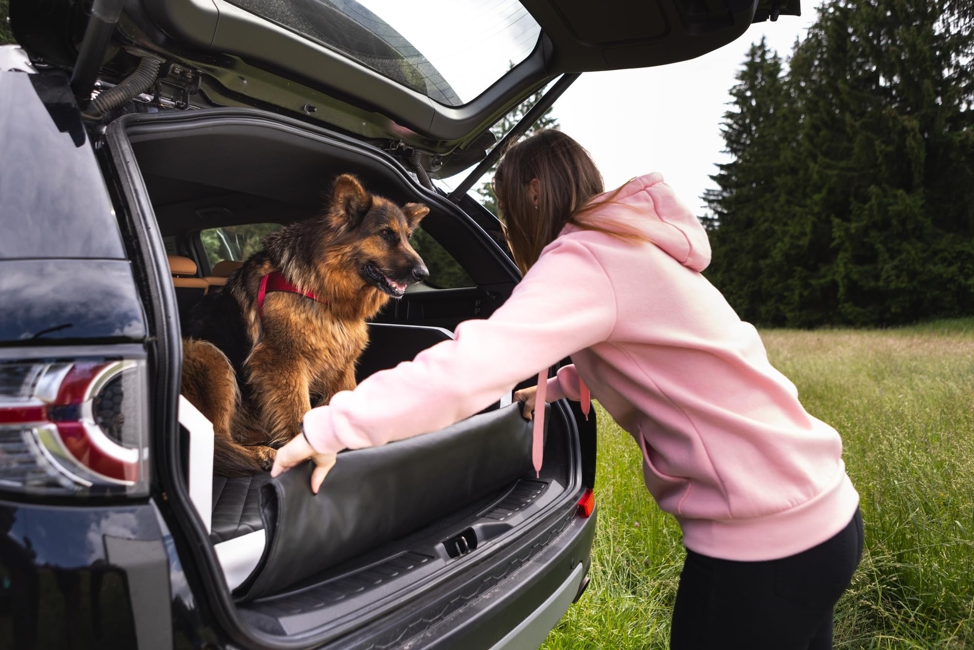 Velinda Transportín Cama de Coche para Perros Maletero colchón 100x90 cm (Color: Negro)