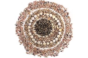 PPCLION: Your Gateway to Enchanting Mini Seashells for Limitless Crafting Adventures